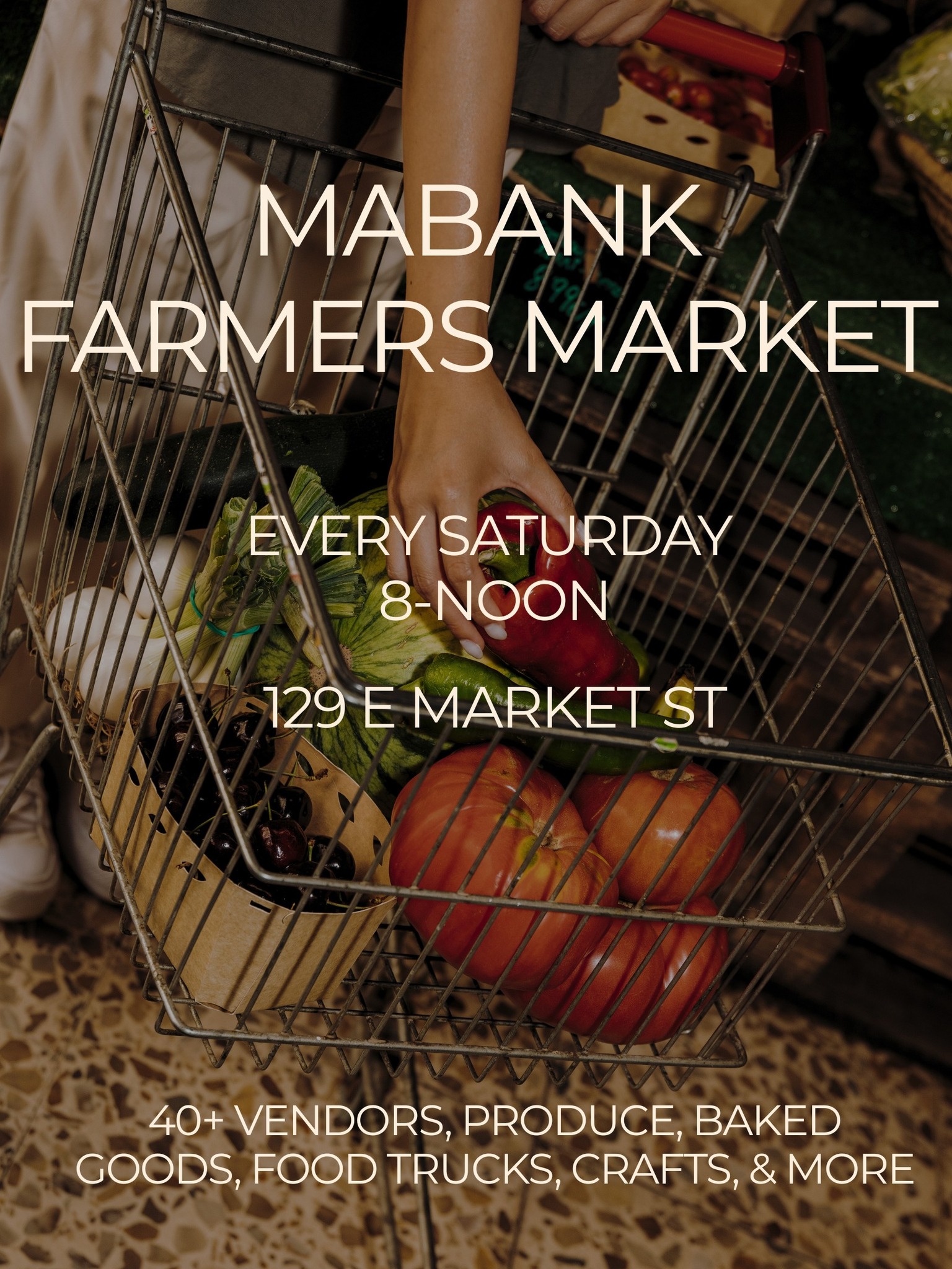 Mabank farmers market this Saturday D22用 DAIA ゾーンバーナー