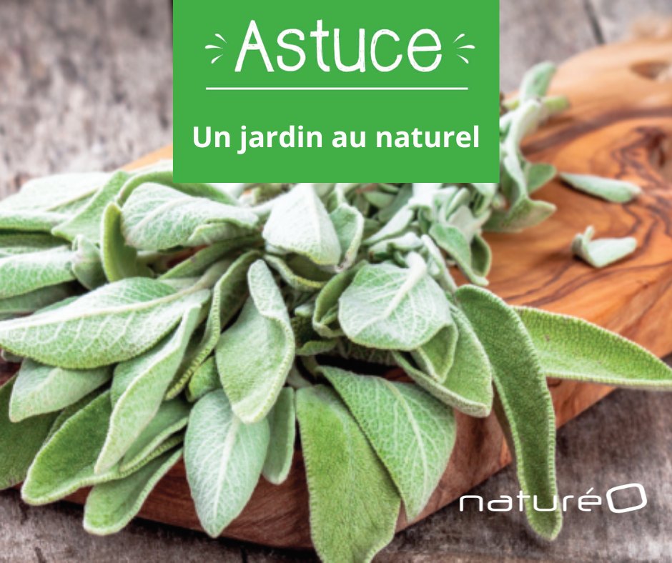 Natureo Bio Dourdan – Naturéo Dourdan Catalogue – KNYNJ