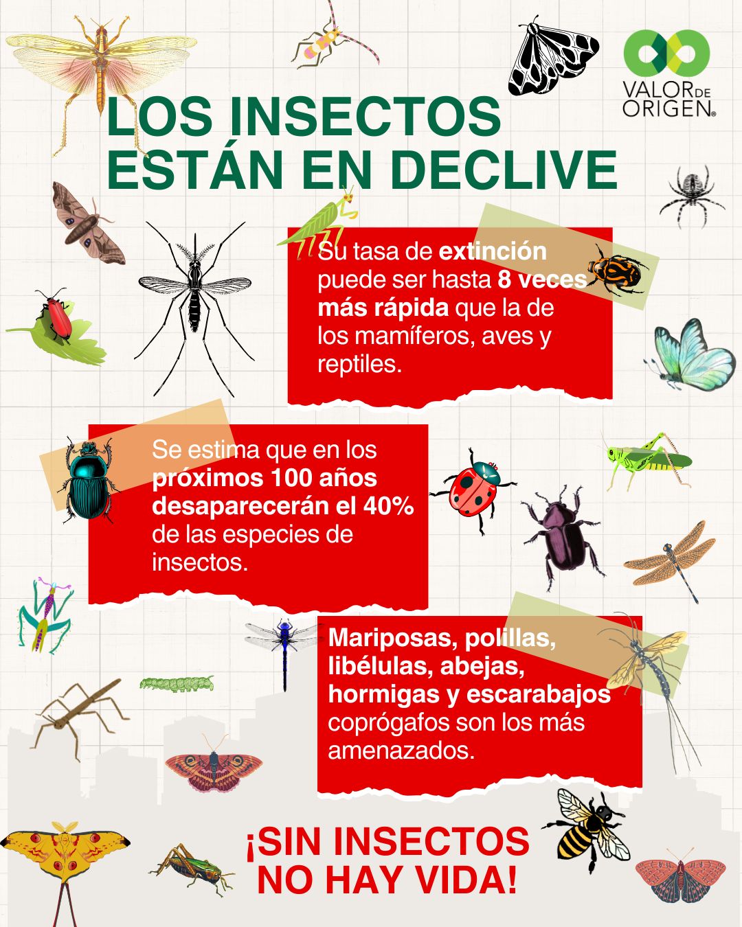 Conecto.mx - ¡El descenso de bichos es bestial! Causas: contaminación ...