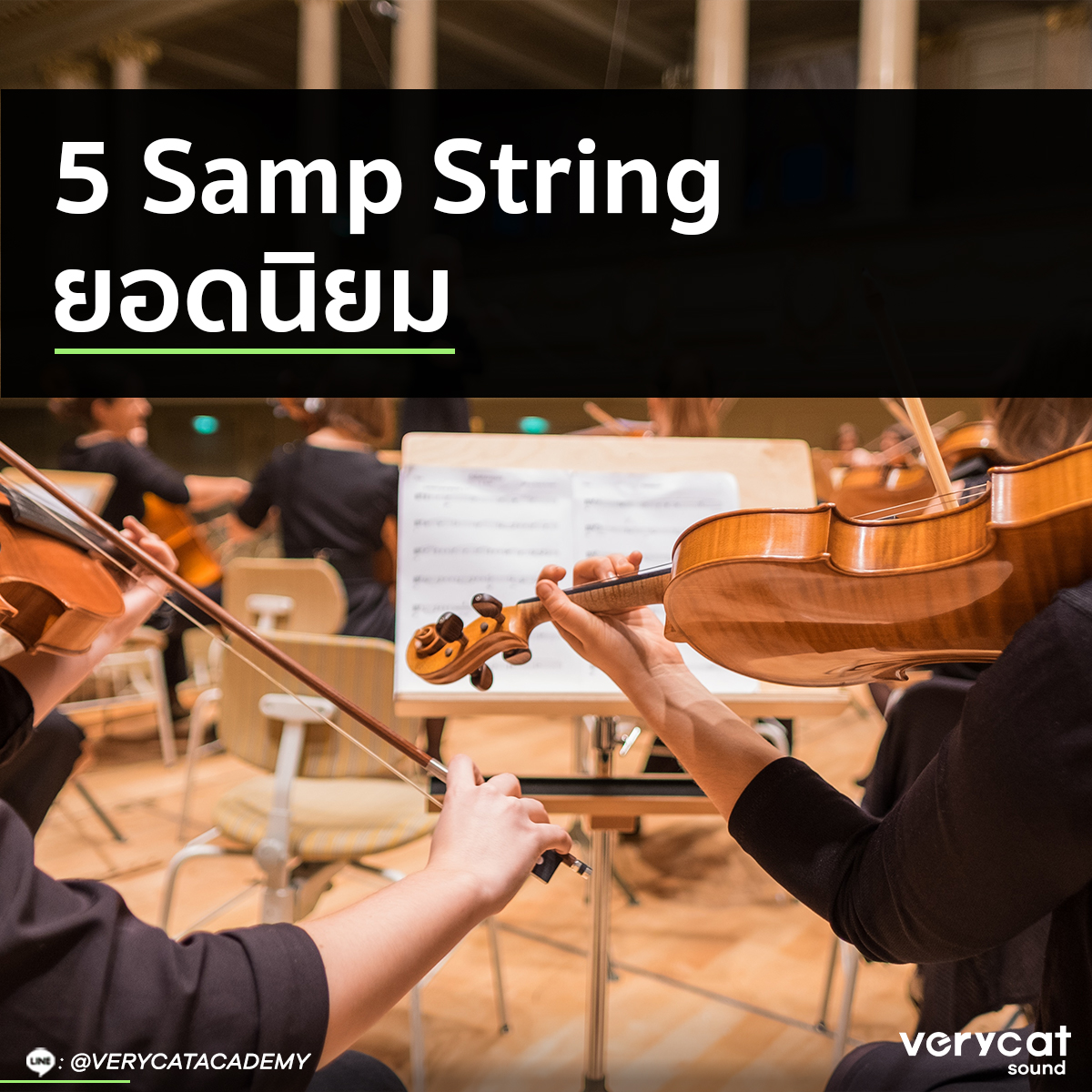 VERY CAT SOUND - 5 Samp Sting ยอดนิยม Samp String...