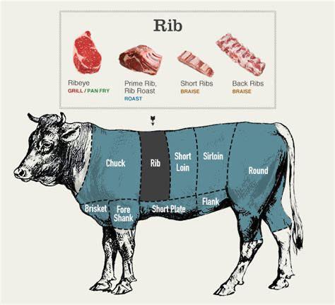 Alsager - Beef Cuts 101: Rib Section🐂 The rib section is home to some ...