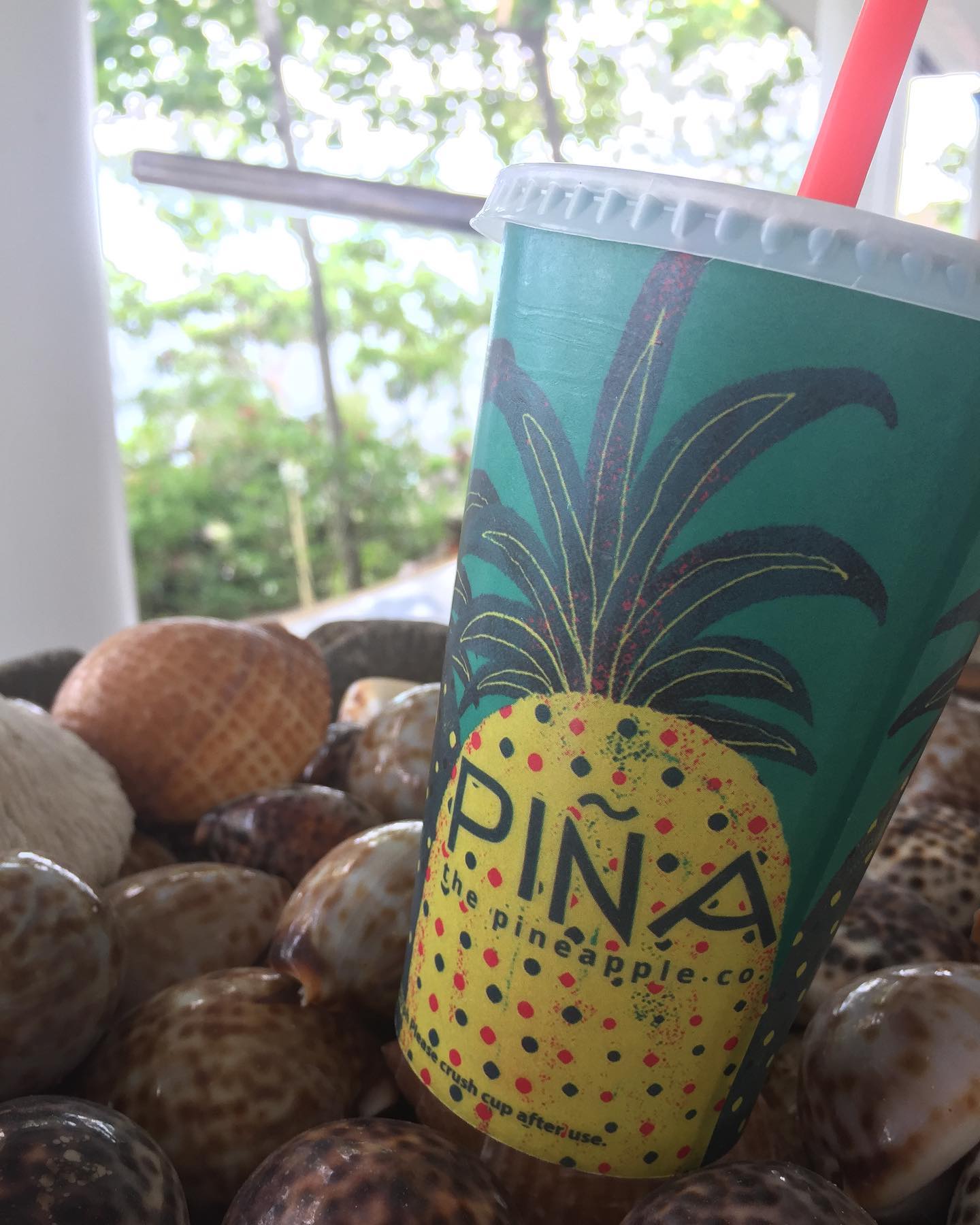 Piña: The Pineapple Co.