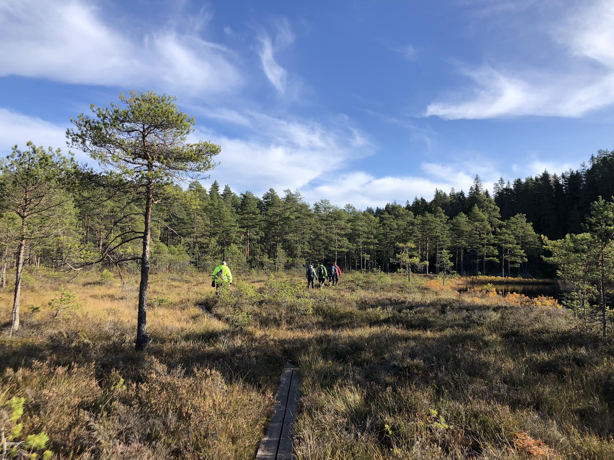 Hasselfors Naturfoto... - Hasselfors Naturfoto & Filmfestival