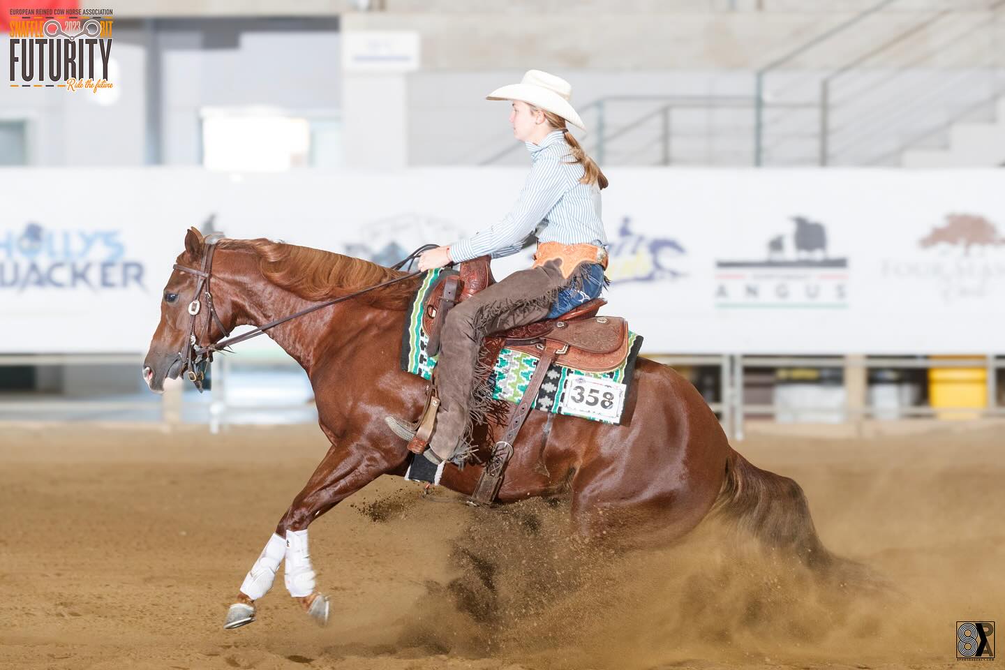 Ercha/Nrcha Metallic Cat Snafflebit Futurity Non Pro Top Score