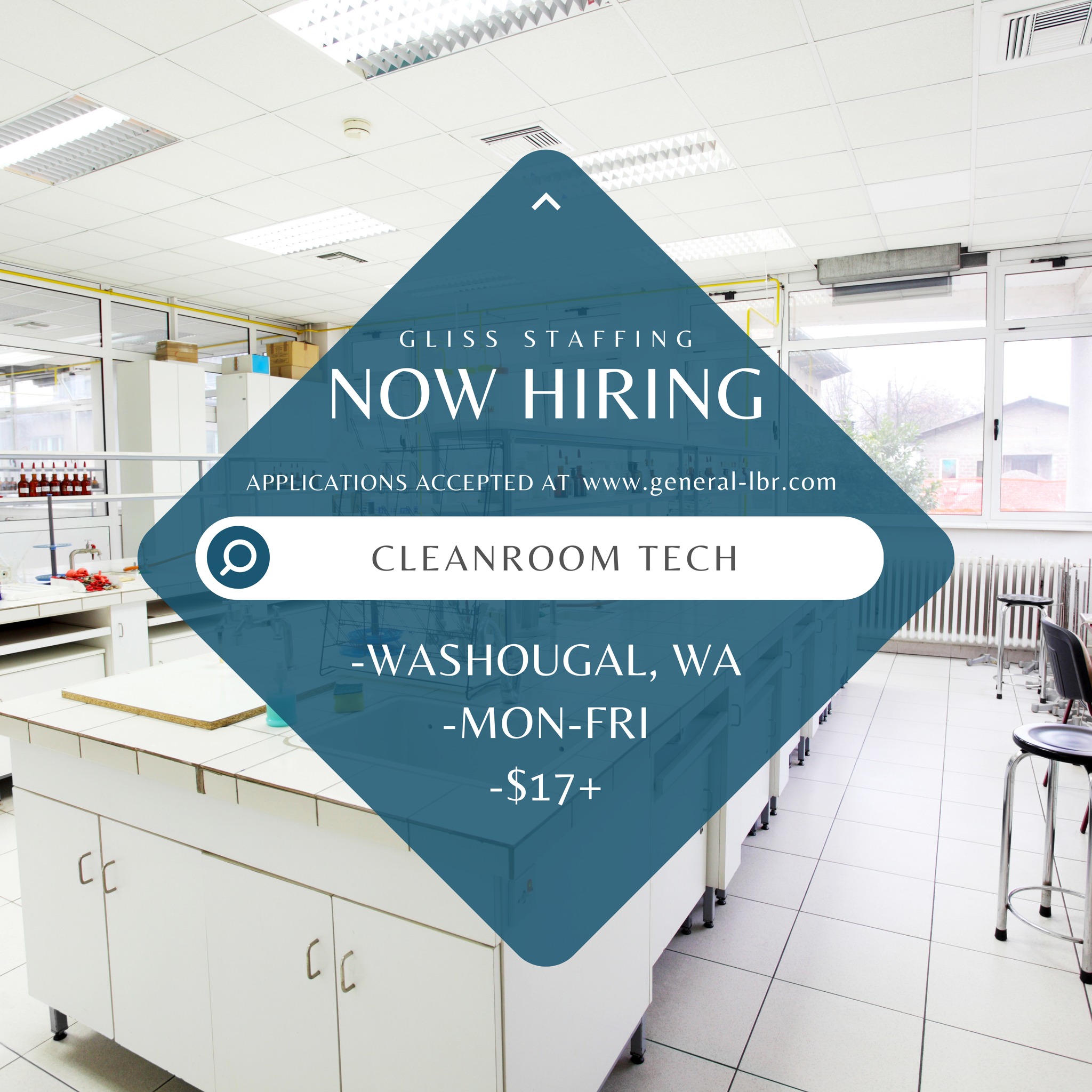 GLISS - ‼️CLEAN ROOM TECH NEEDED‼️ 👇ENTRY LEVEL👇FULL TIME👇 Clean Room ...
