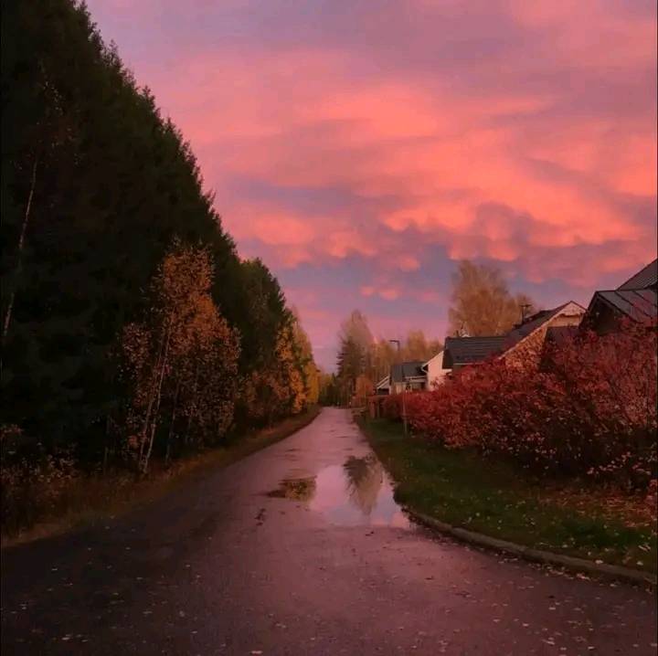 sunset after rainy weather