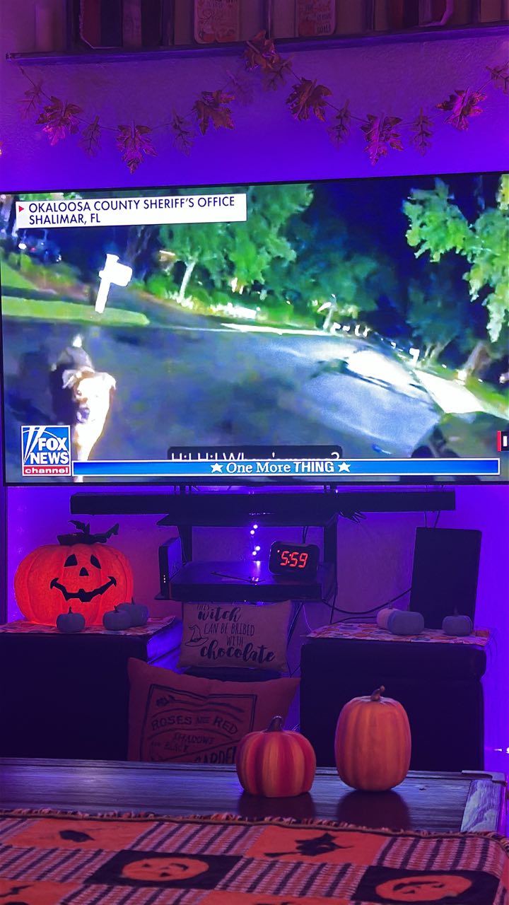 Judy - Okaloosa county and Eeyore made the news on “The Five” today ...