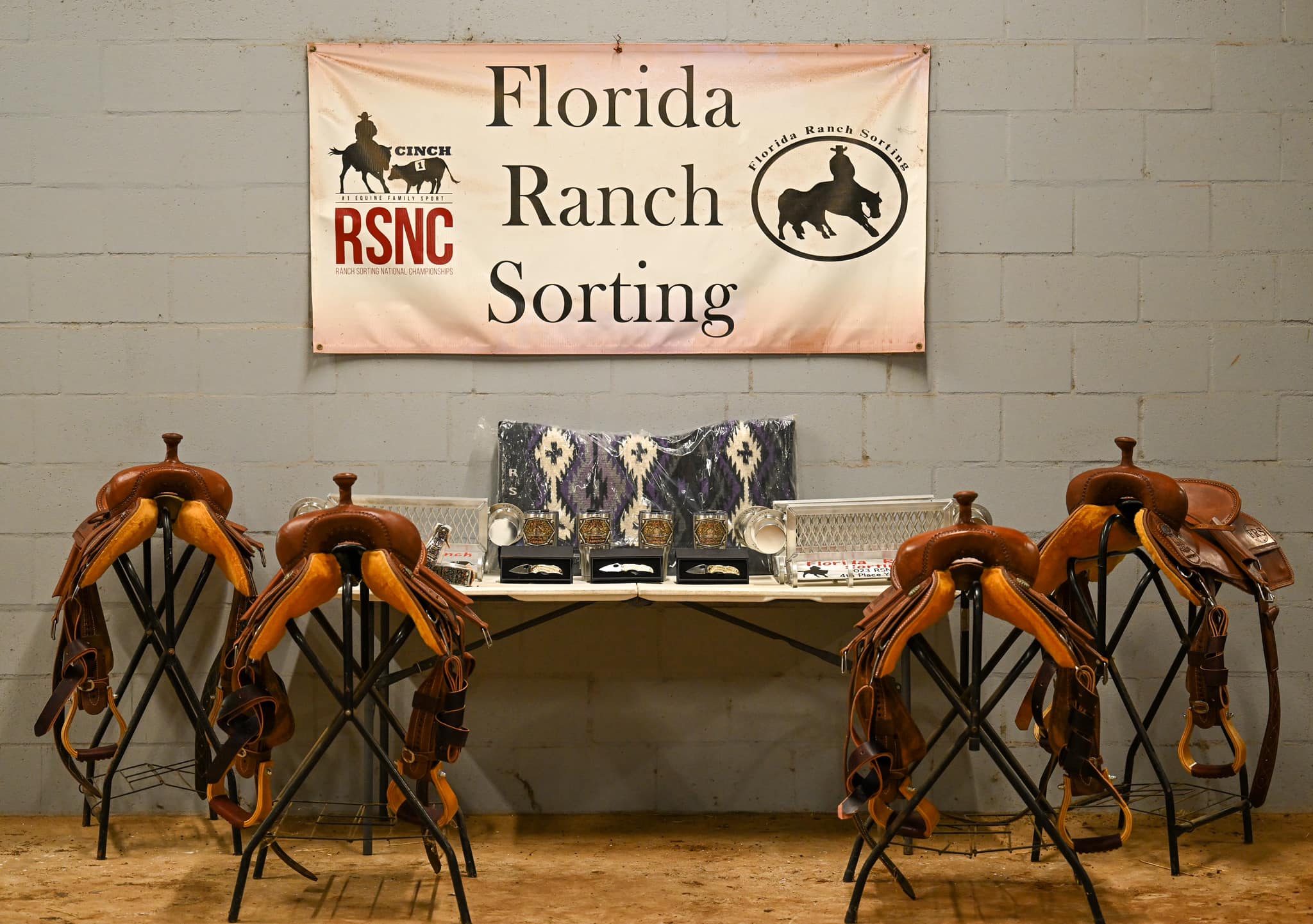 Florida Ranch Sorting’s Jey’s... - Florida Ranch Sorting | Facebook