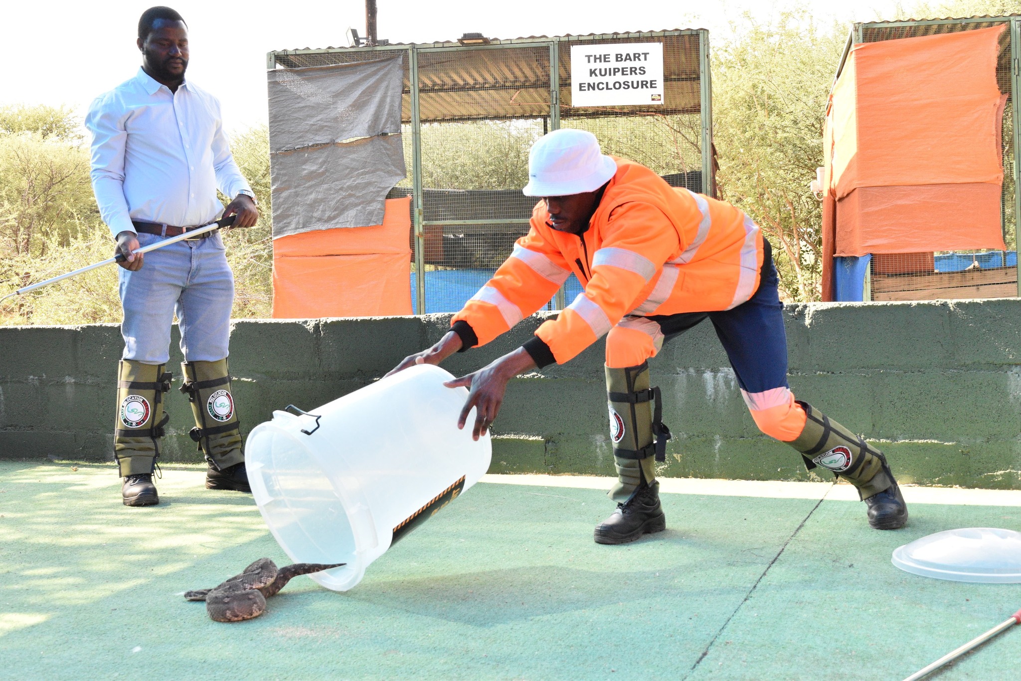 Snake Relocation Gaborone... - Snake Relocation Gaborone