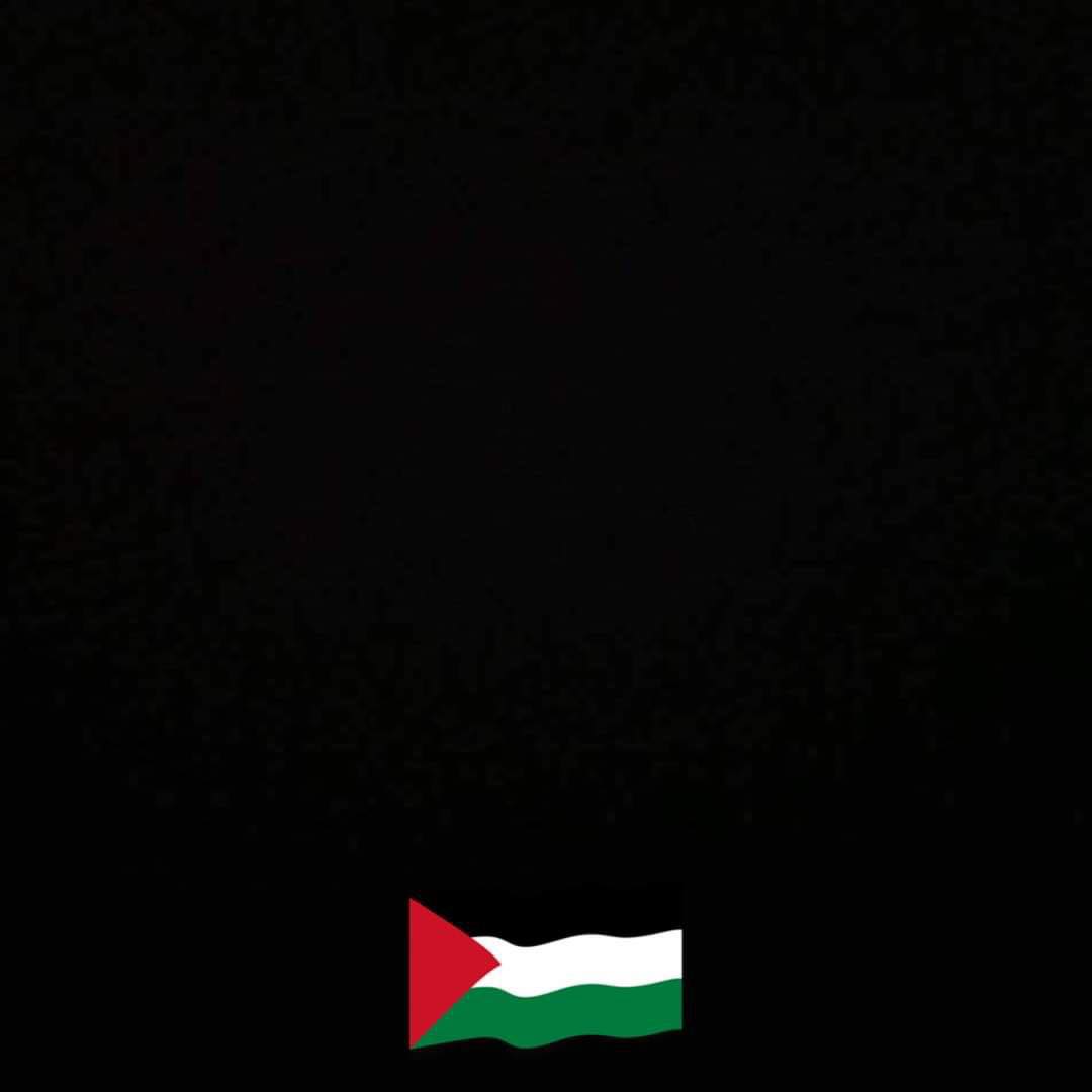 🚨🚨 وووووصل الآن🚨🚨 🥩 السلفوح البلدي الطازج 🔥 عرض خاص اليوم 🔥 💥 الكيلو ب ...