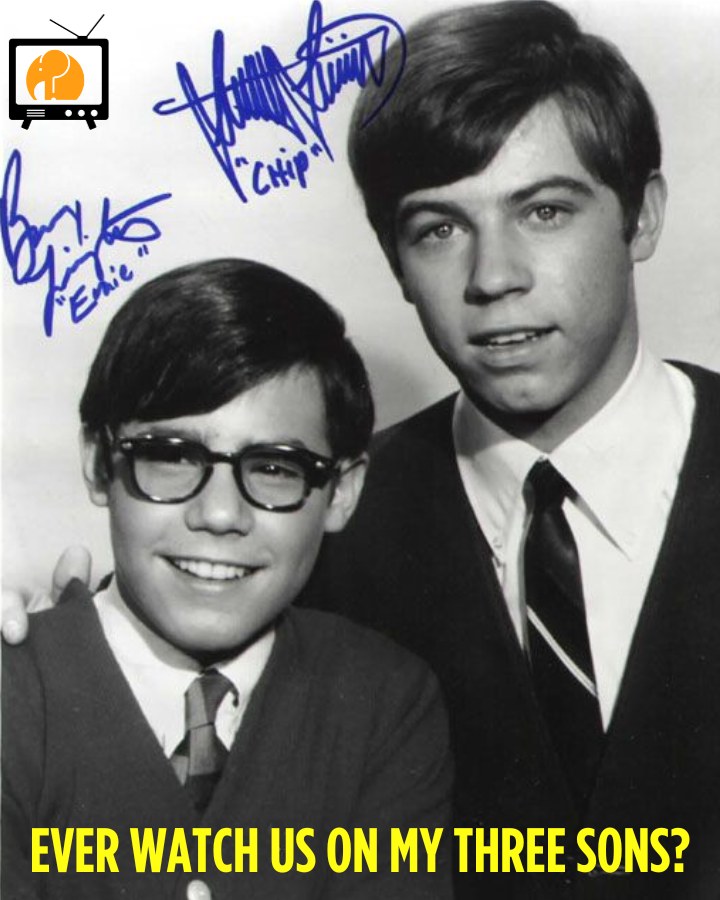 Did you know these tv brothers were played by actual brothers