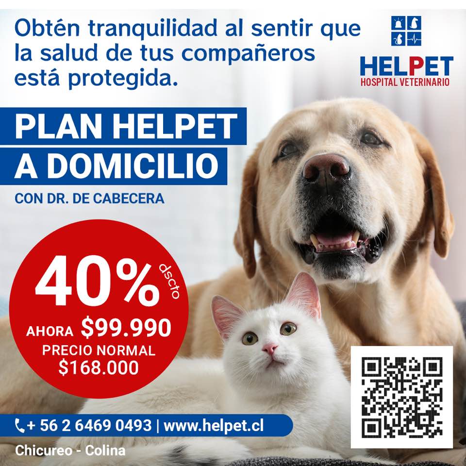 ¡El hospital a tu hogar! En... - Helpet Hospital Veterinario