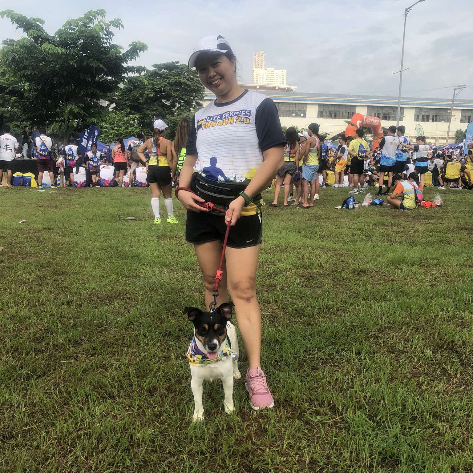 Sheltie Puppy Agility Blast and BG Aliño Sala during the beginners ...