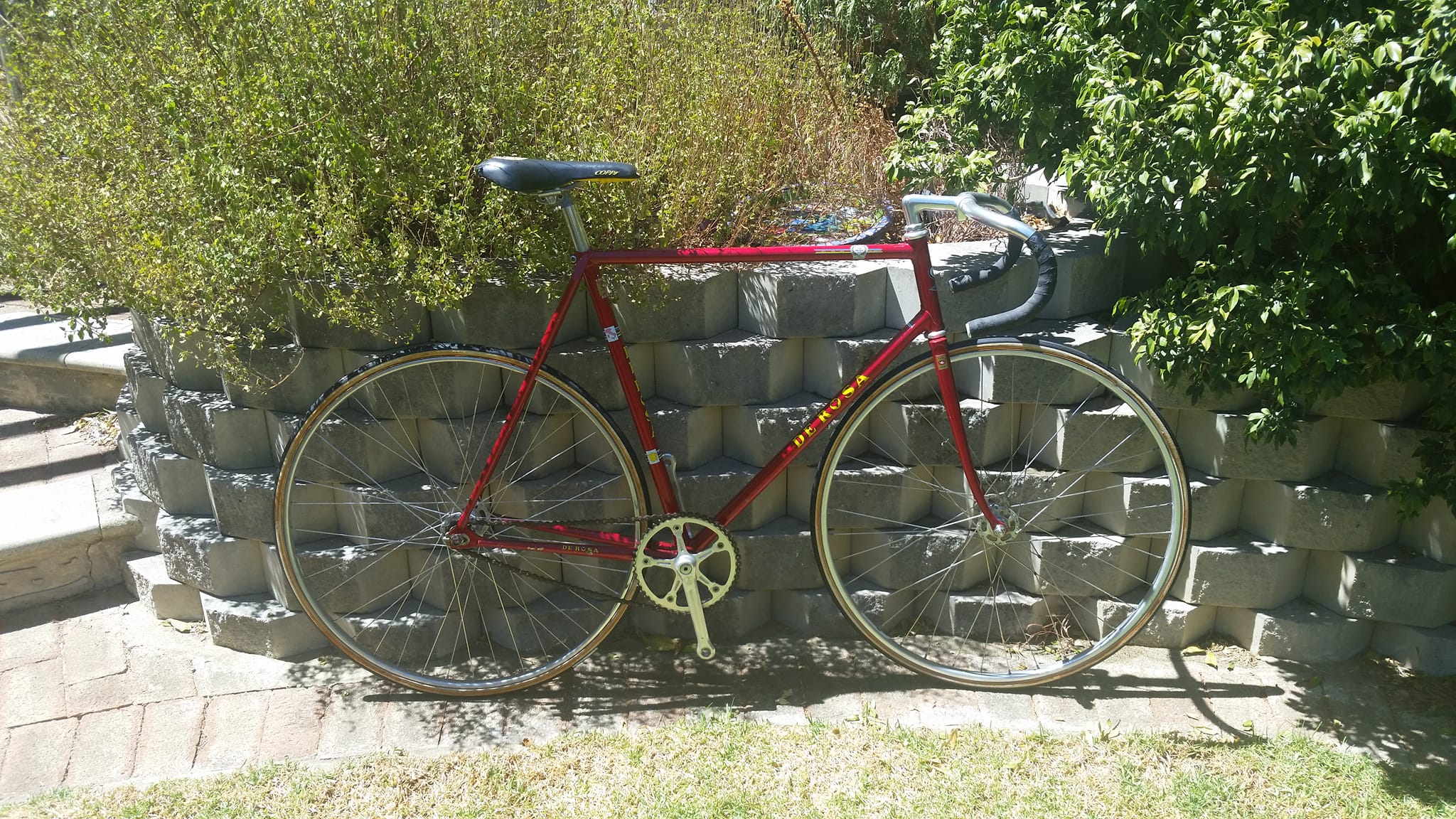 1985 De Rosa bike with Campy record group