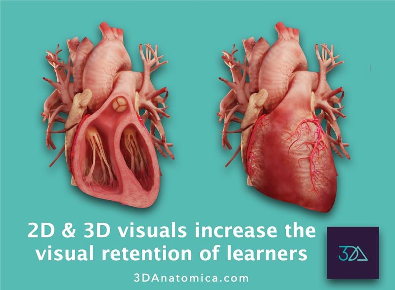 3DAnatomica - What are the benefits of 3D to explain...