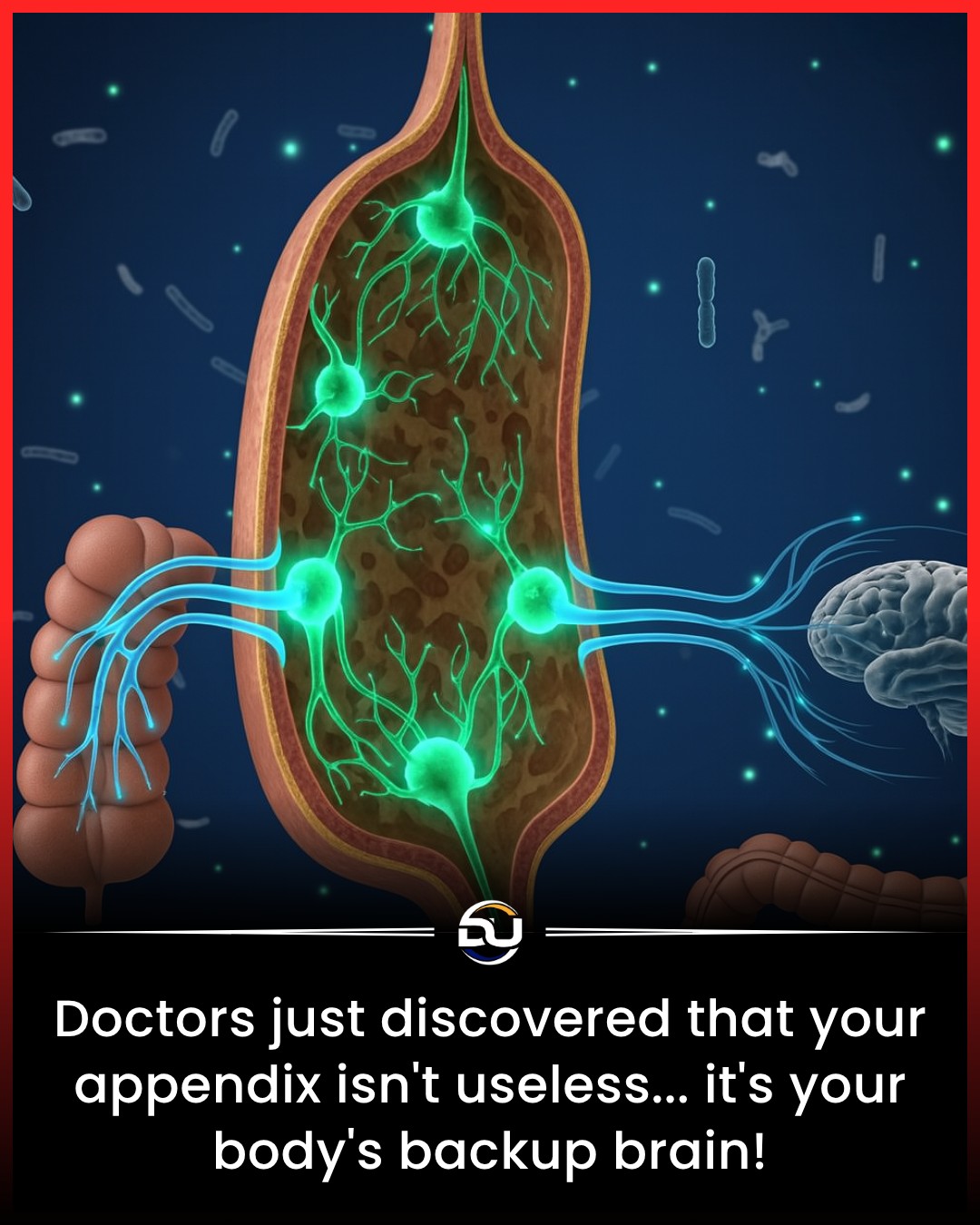 What if the “useless” appendix is... - Discover the Universe | Facebook