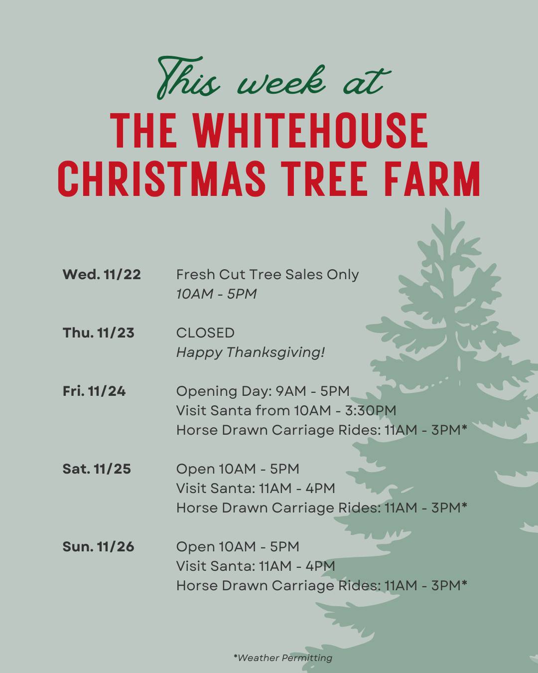 Wheeler Farms - 'Tis the season at The Whitehouse... | Facebook