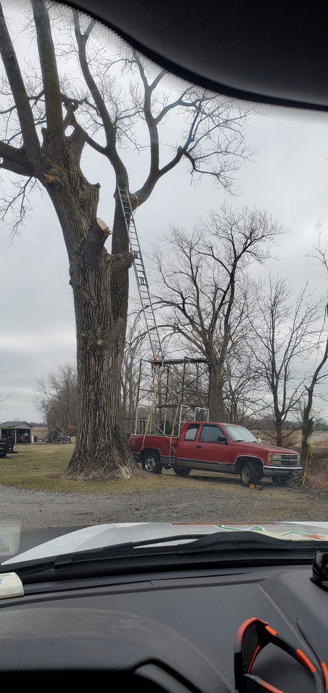Joe's Discount Tree & Stump Service | Crown Point IN