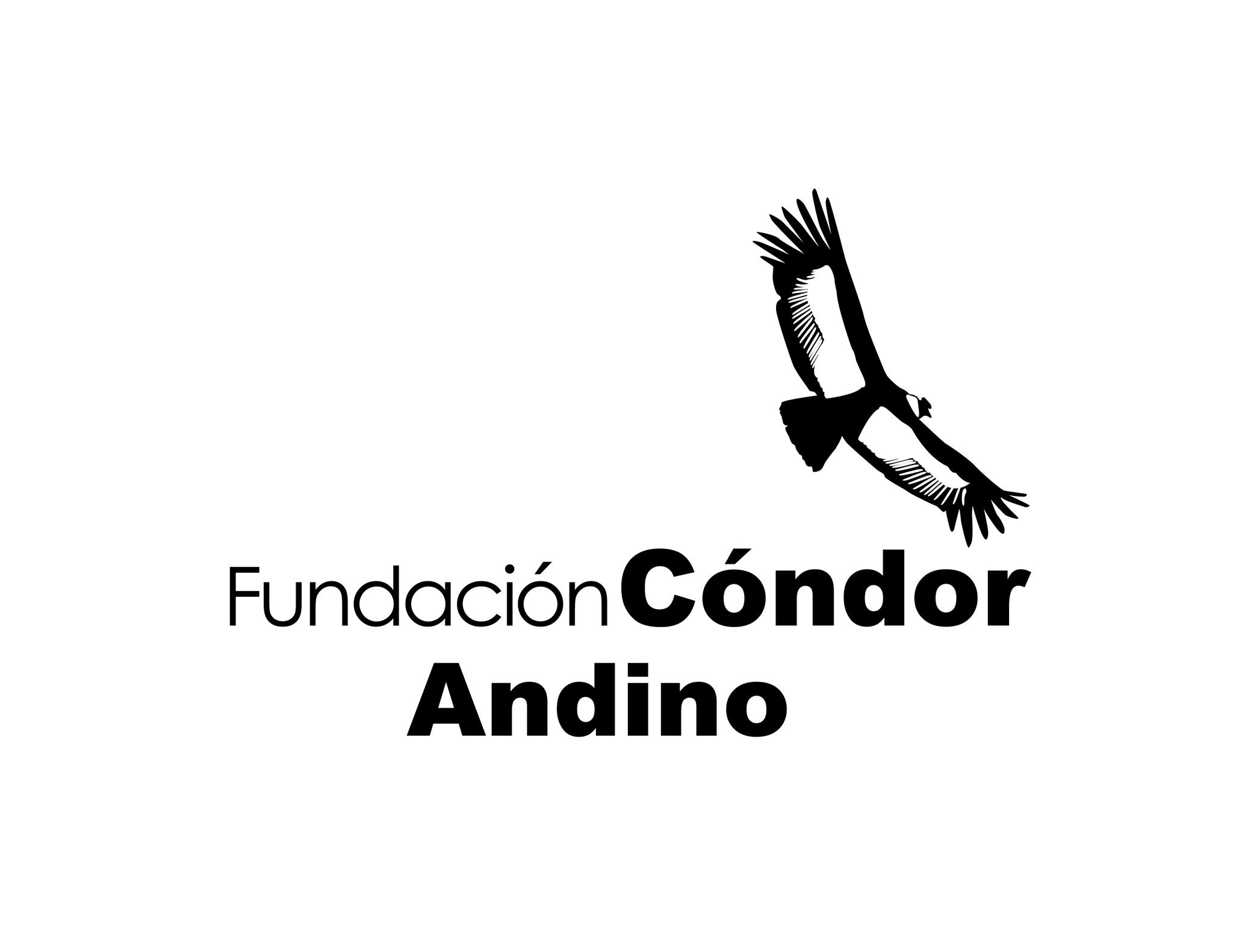 📢 ¡Convocatoria abierta!... - Fundación Cóndor Andino | Facebook
