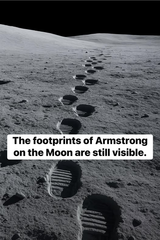 Viral - When Neil Armstrong stepped onto the surface of the Moon in ...