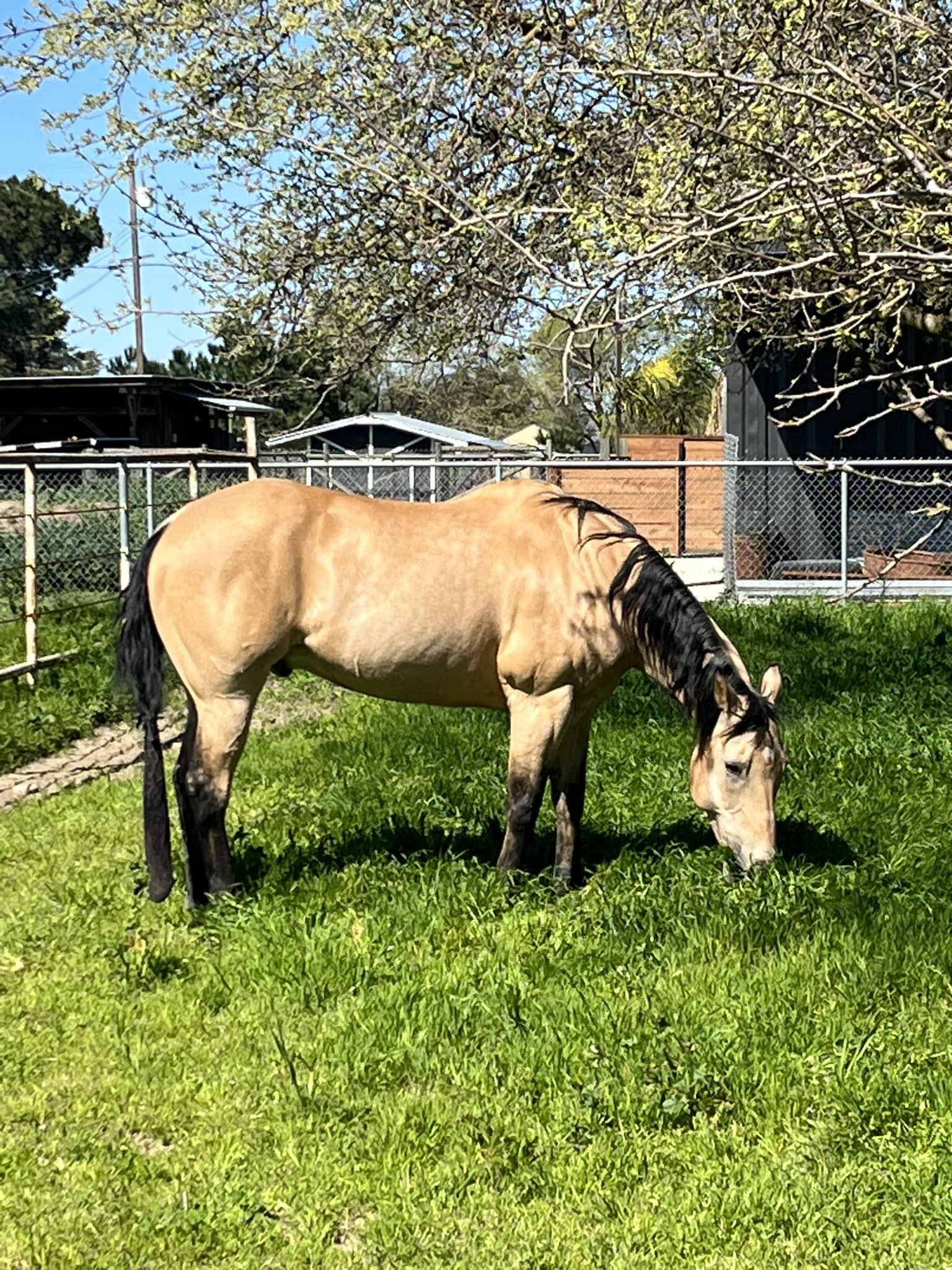 Rafter D Ranch