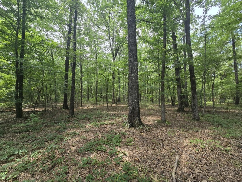 NEW LISTING ALERT ‼️ Blackfork River Country Homesite - Adjoining