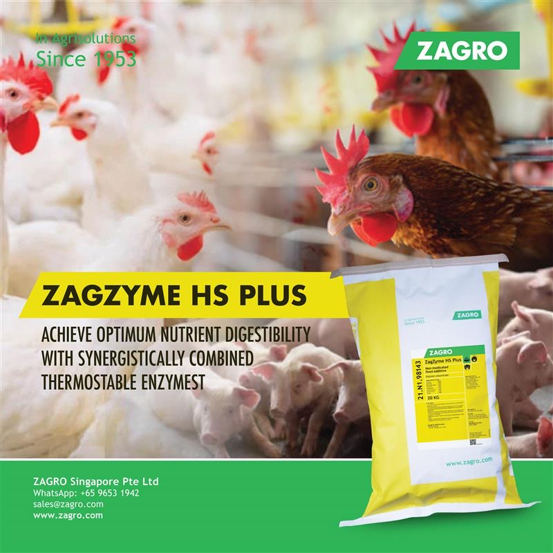 ZAGRO - 🚀 Unlock Maximum Feed Efficiency with Zagzyme HS Plus! 🔑 In ...