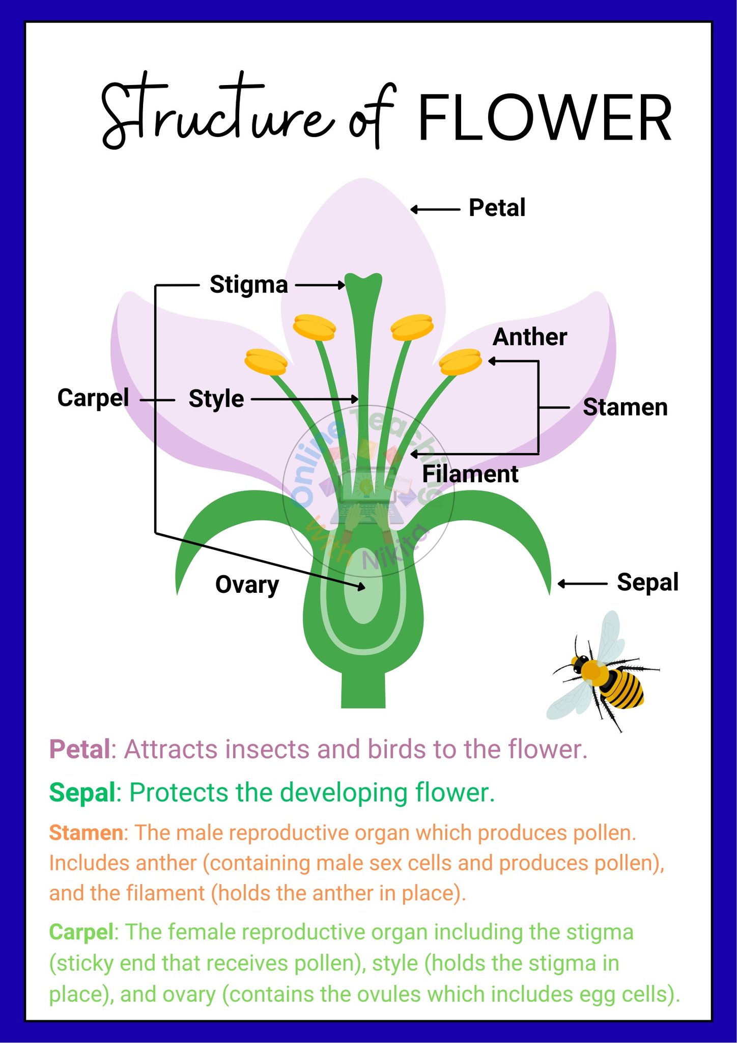 Human Anatomy Group | Facebook