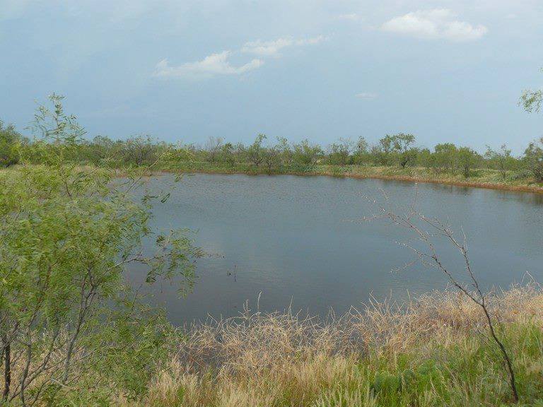 Rafter L Ranch | Bronte TX