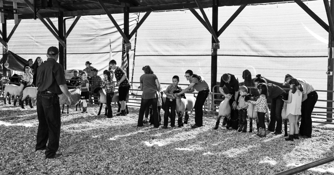 Benton County Fair & Rodeo | Corvallis OR
