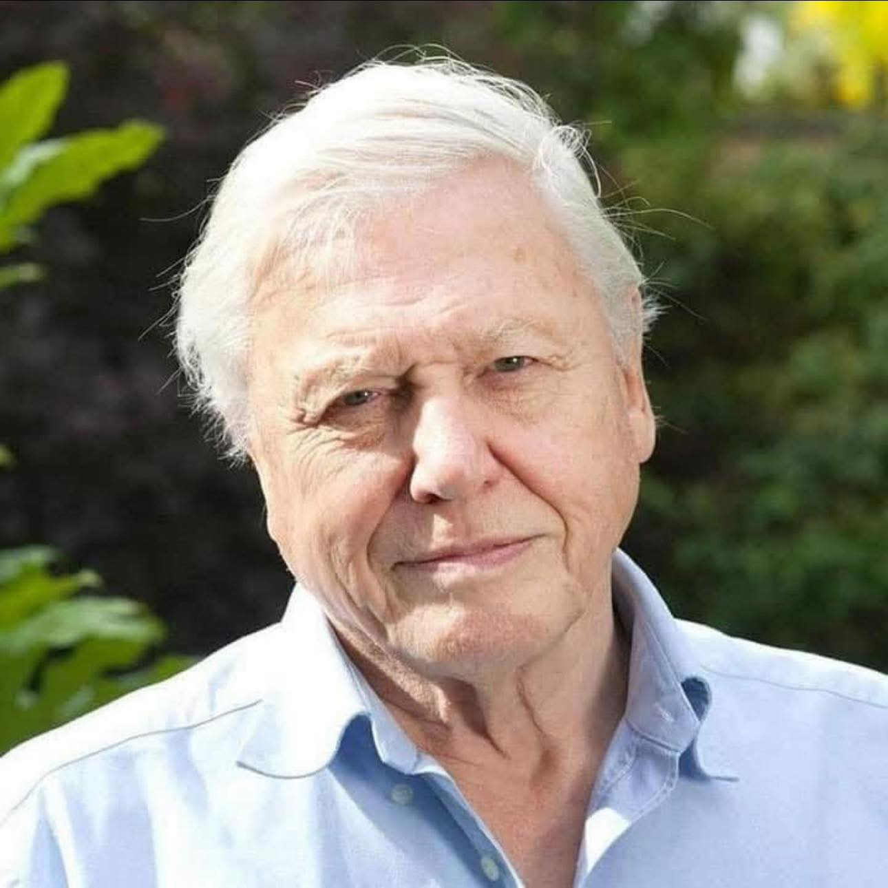 🚨 BREAKING! The legendary Sir David... - Earth's Treasures | Facebook