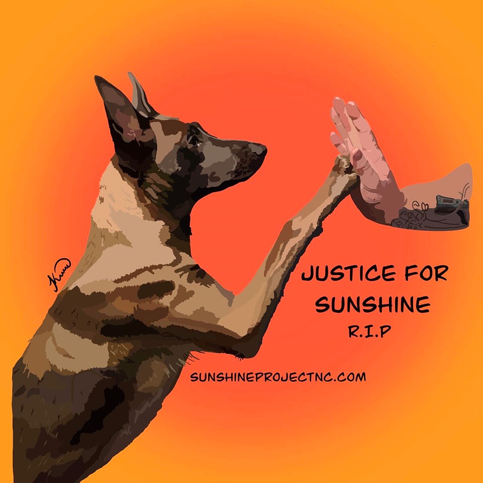 Support Joshua Rohrer and Sunshine Rae | Can anyone confirm that this ...