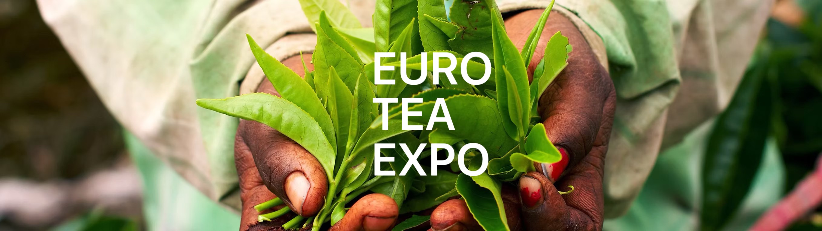 EURO TEA EXPO [Moved]