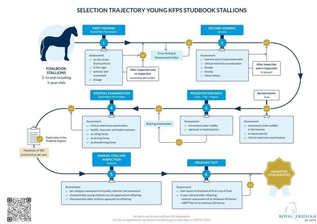 A handy... - The Australian Friesian Horse Society Inc | Facebook