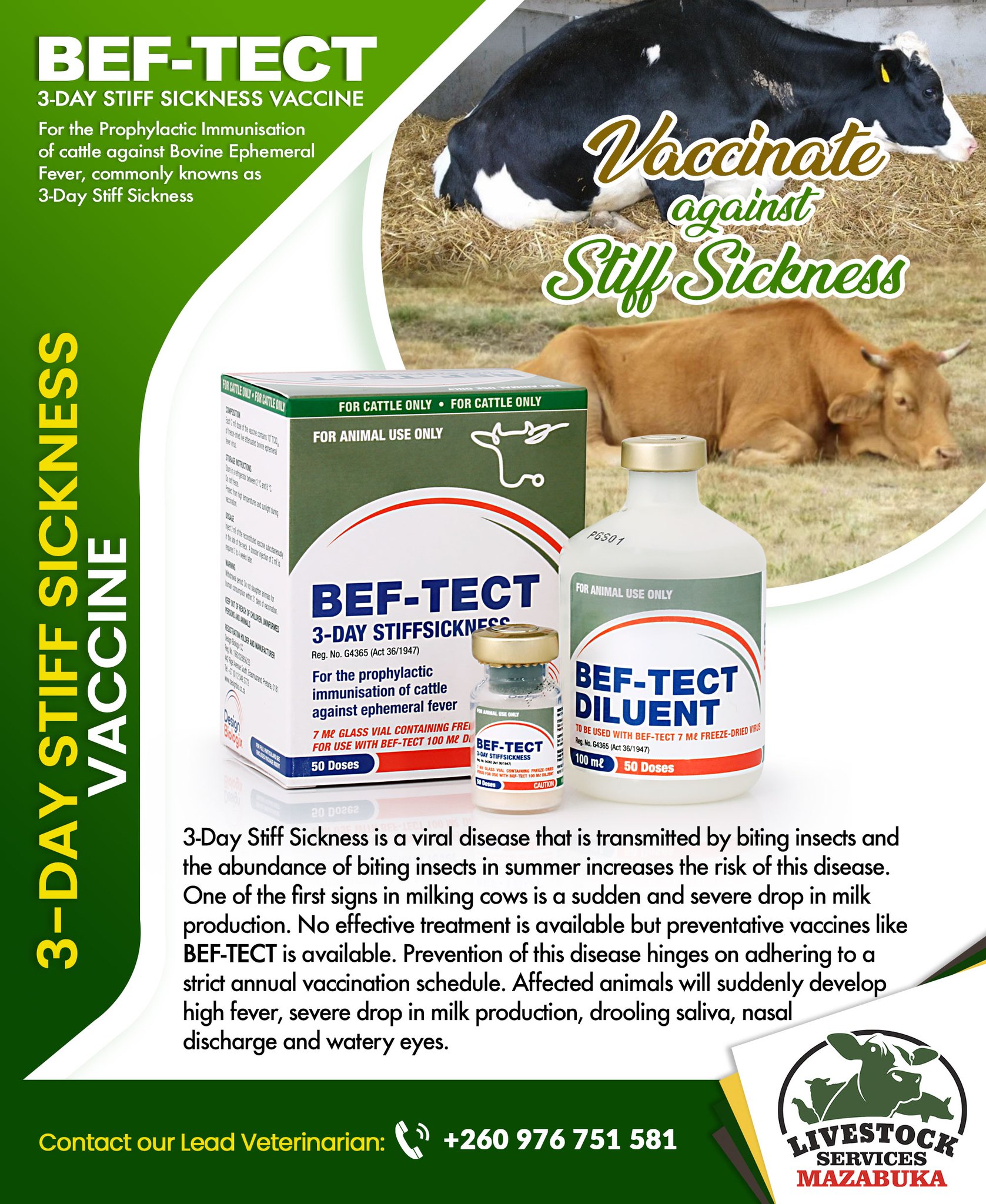 Livestock - 3-DAY STIFF SICKNESS VACCINE. Prevention is Better than ...