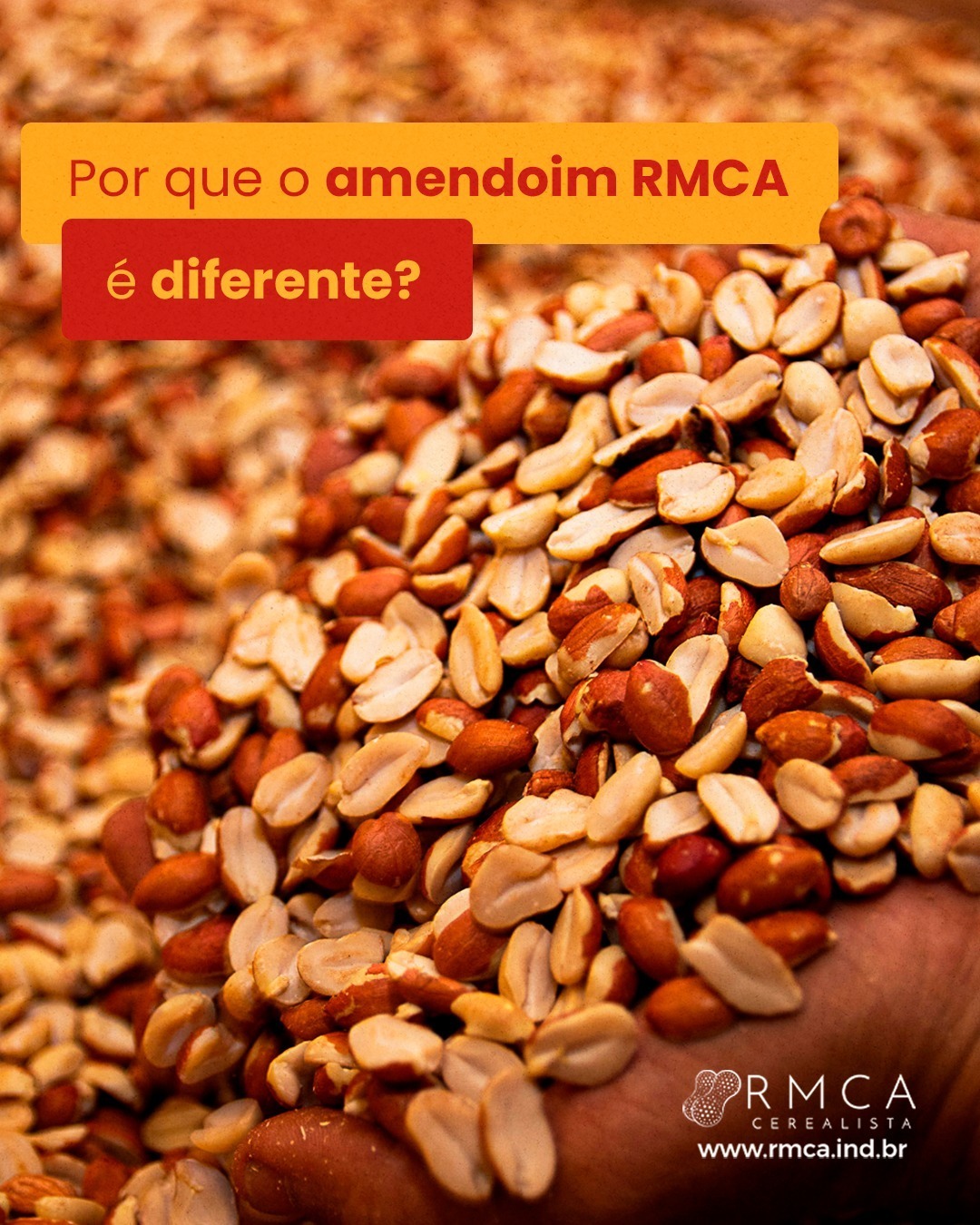 RMCA | Borborema SP