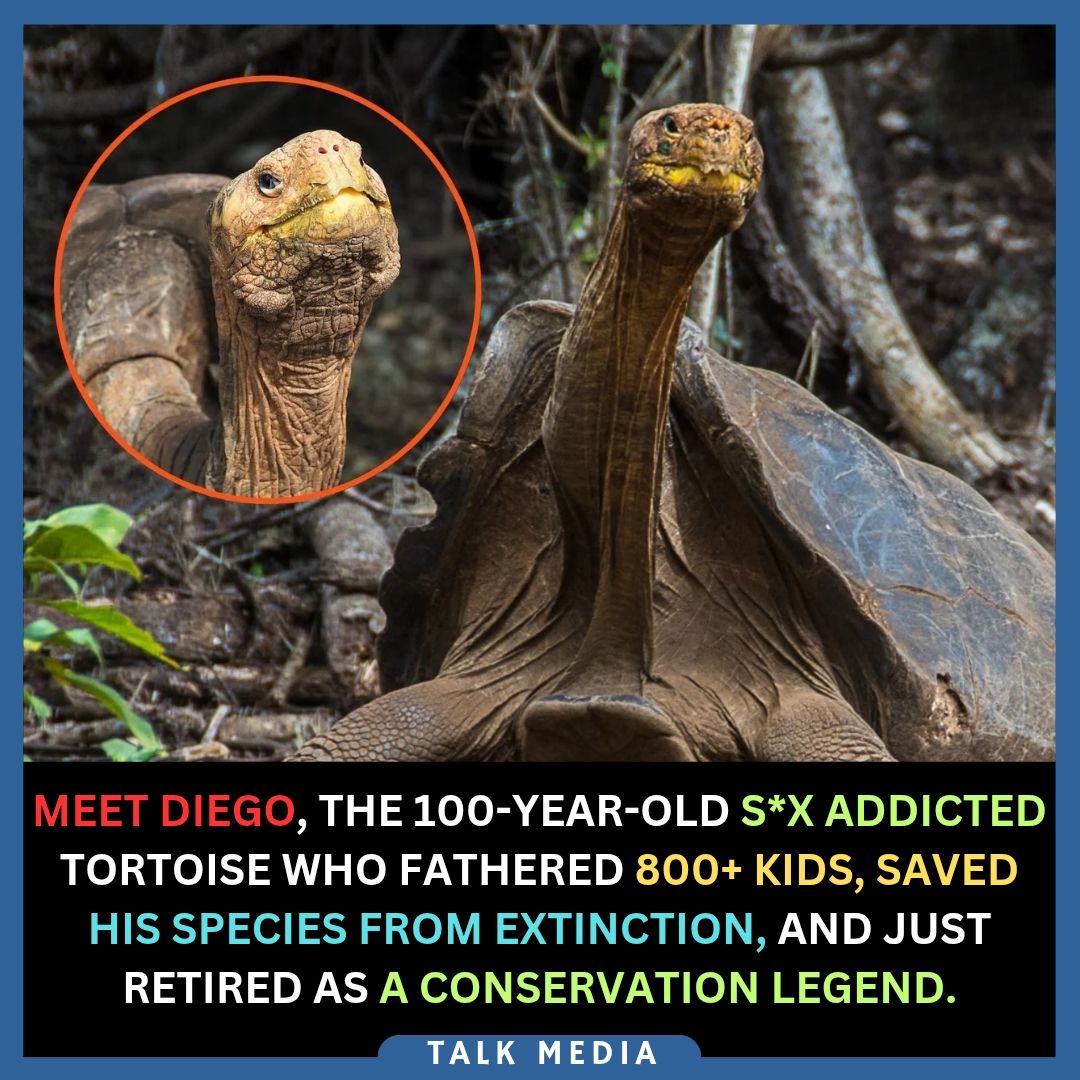 Strange facts | Facebook
