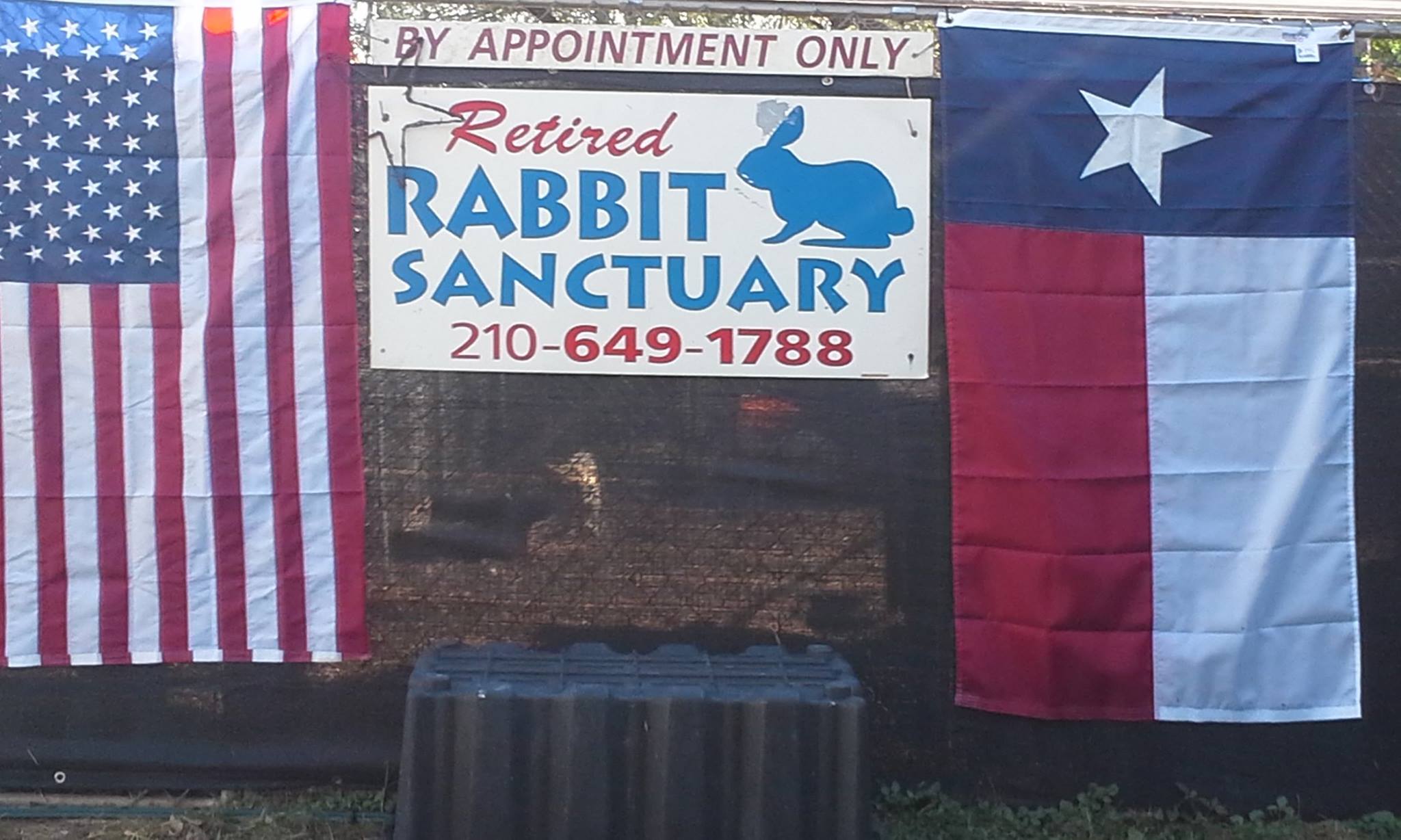 The Sanctuary is ready for... - The Retired Rabbit Sanctuary