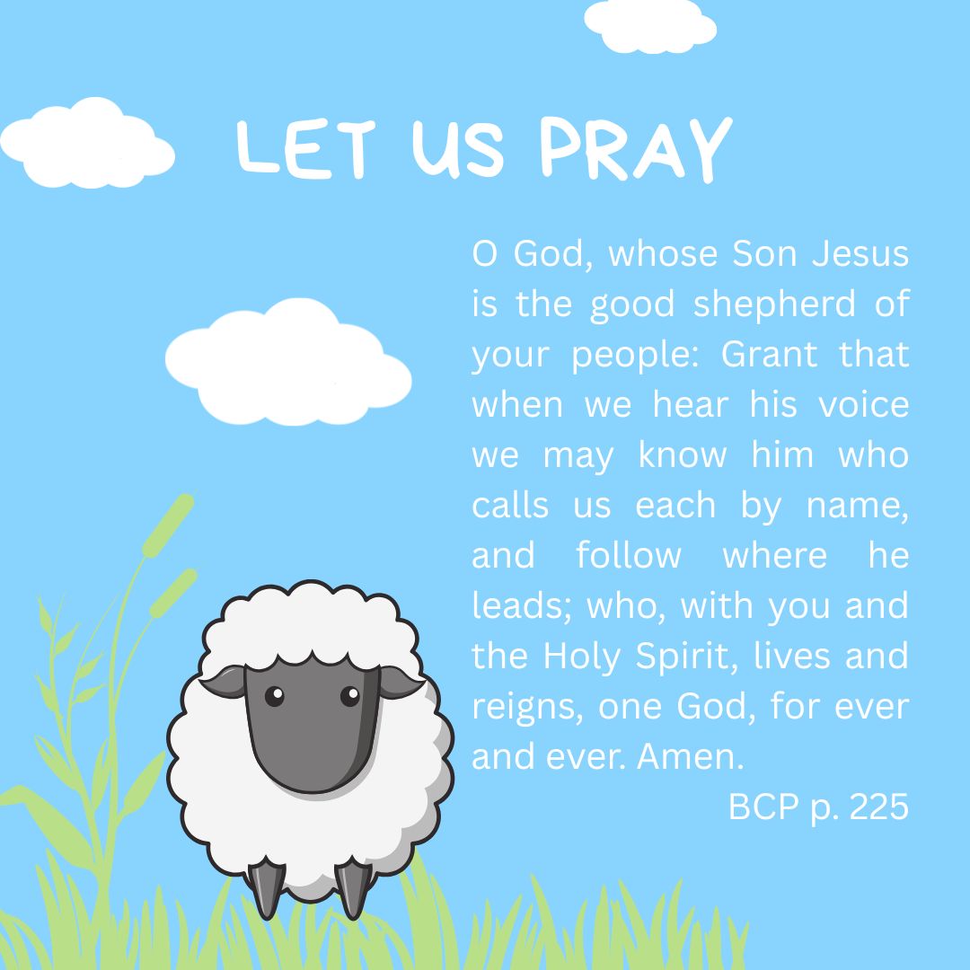 Trinity - O God, whose Son Jesus is the good shepherd of your people ...