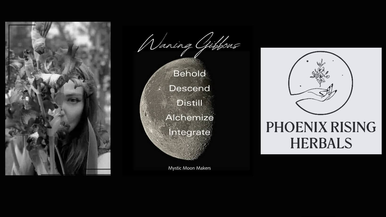 Waning Gibbous in Virgo ♍🌖 Fallon Rhodes