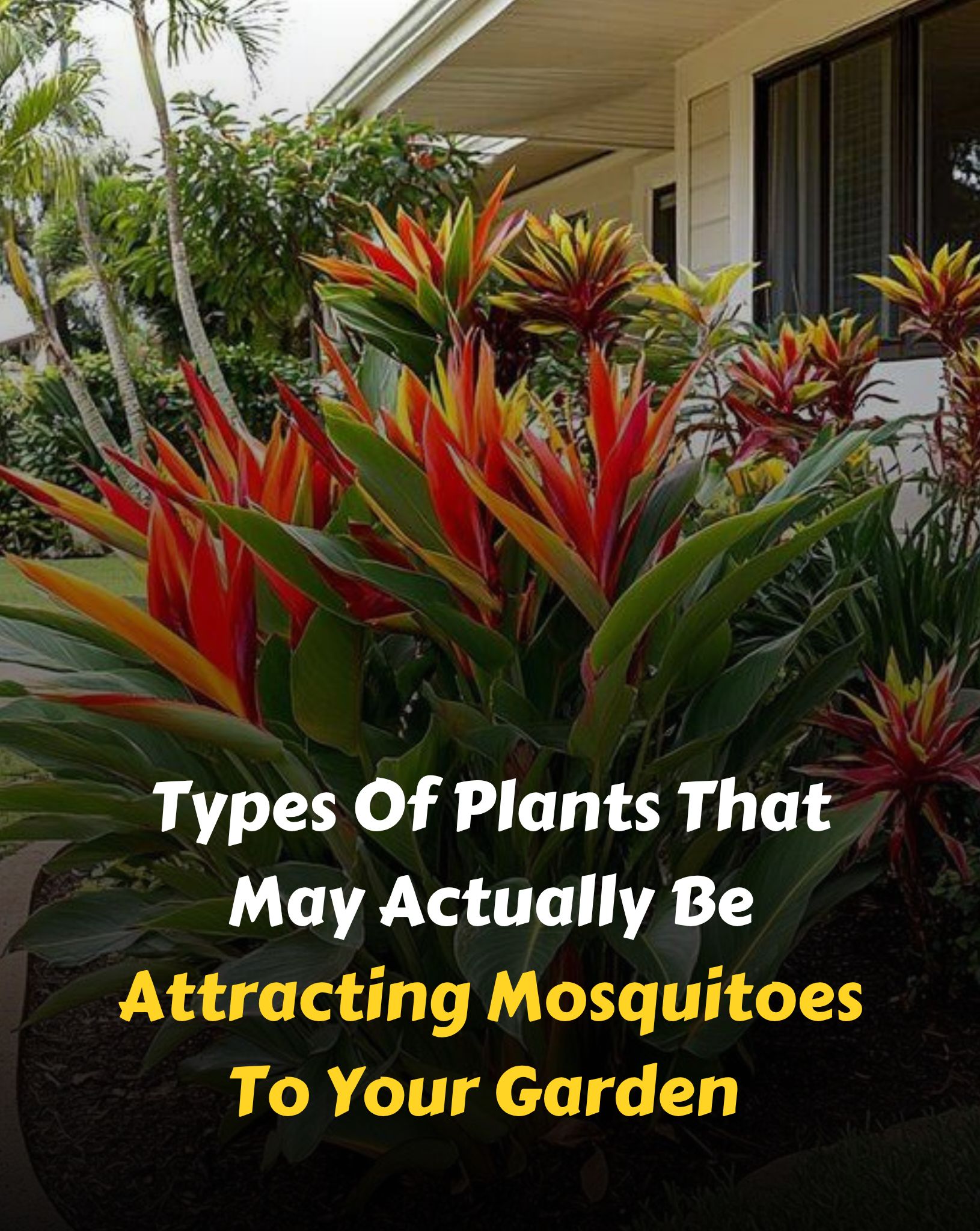 Cool Review About Plants That Attract Mosquitoes