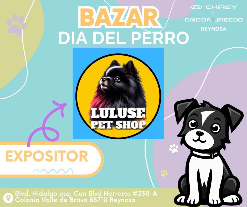 Ropita de perritos luluse boutique | Reynosa