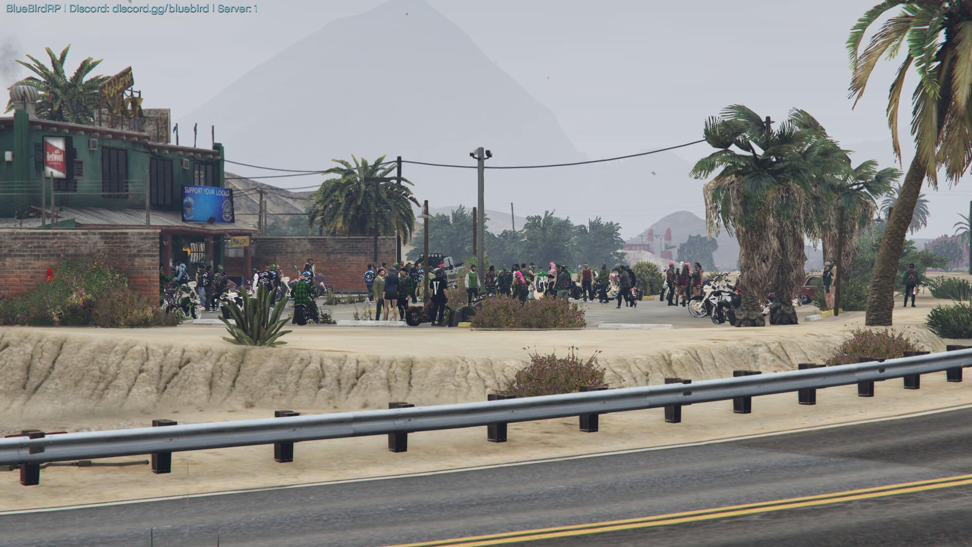 Blue Bird RP