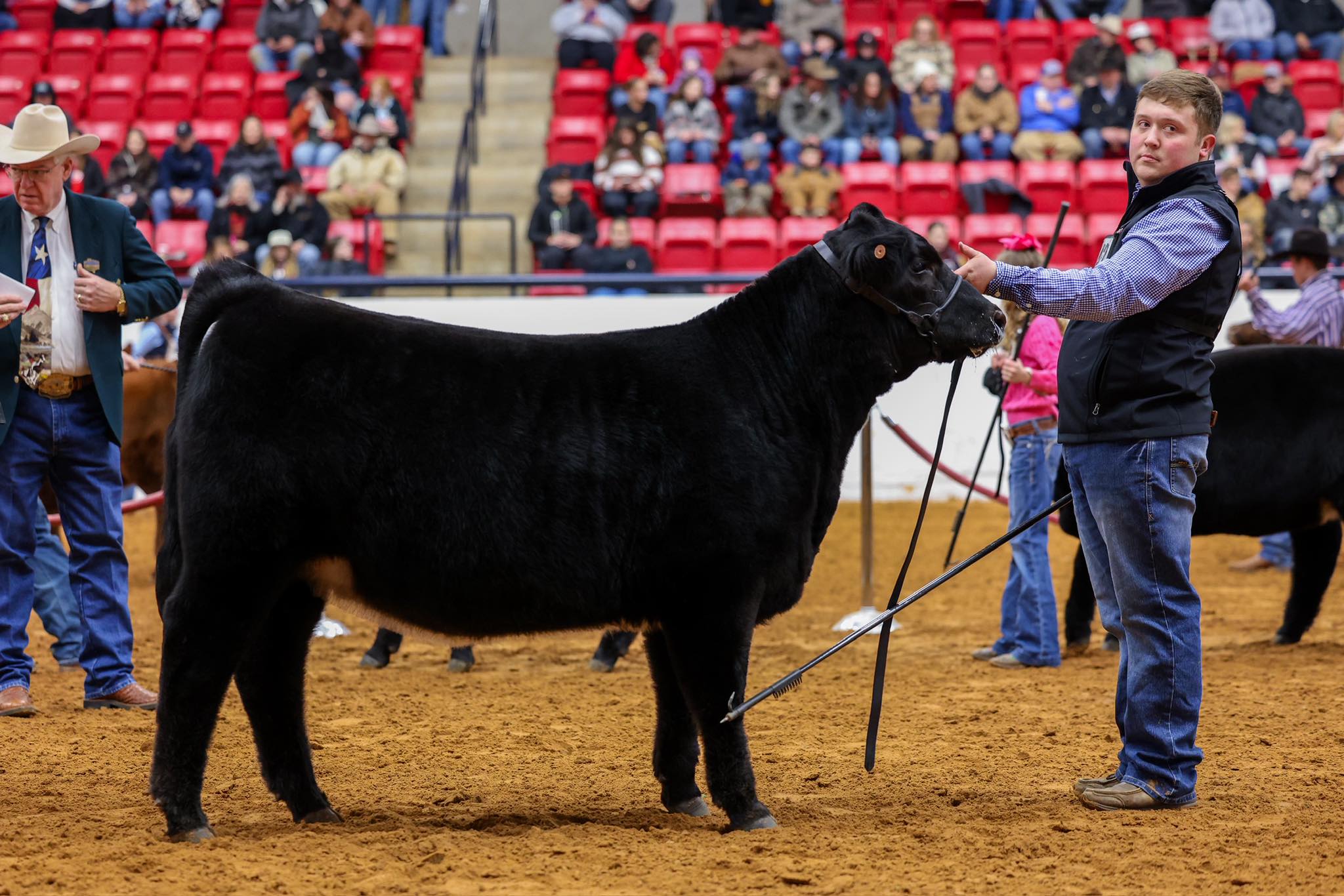 Sanders & Sons Livestock | Huntington TX