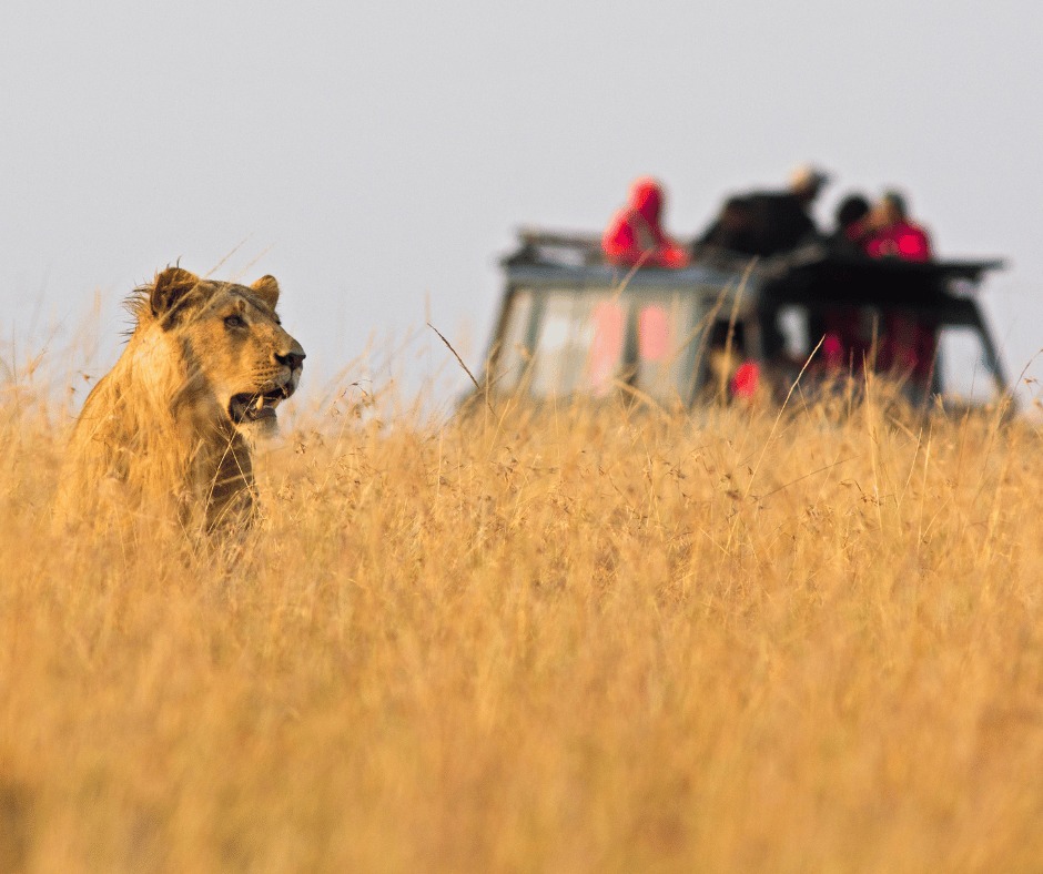 ️ Featured... - Freedom Destinations - The Africa Experts | Facebook