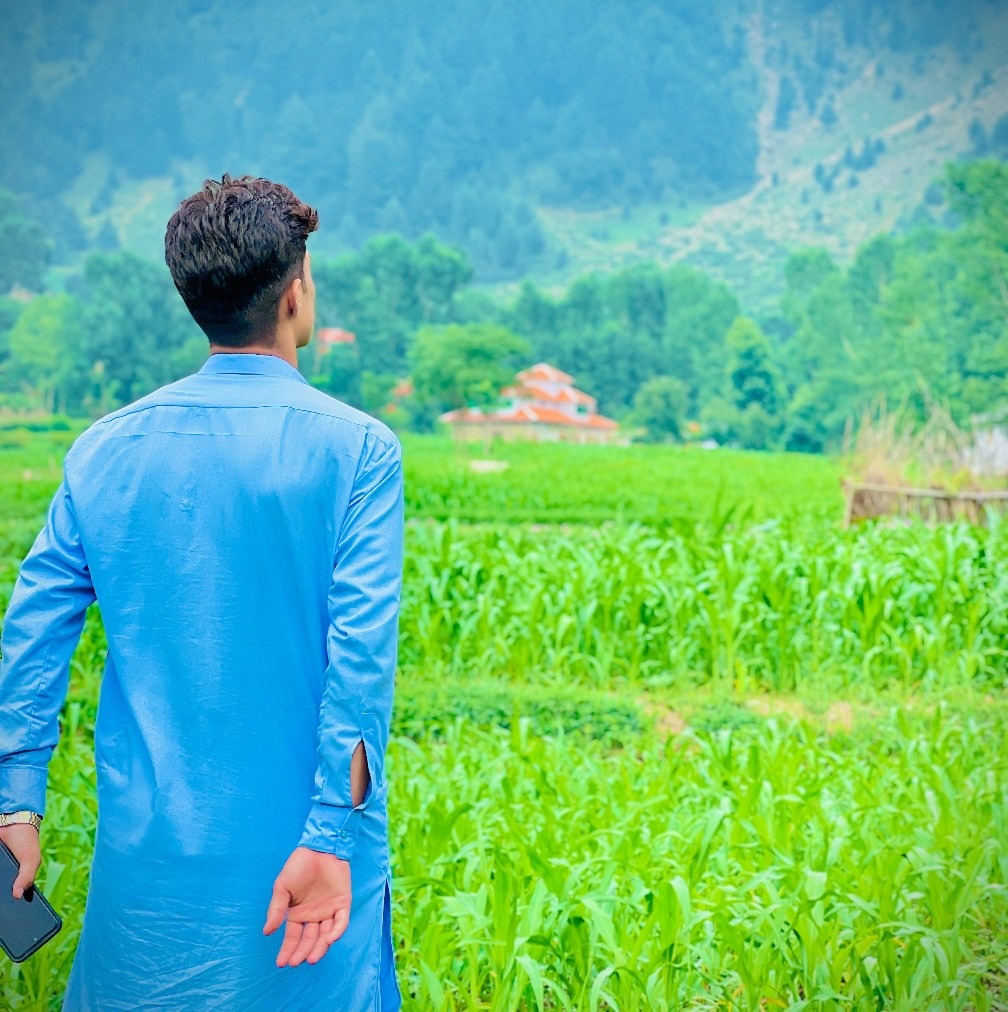 Mohsin Jane