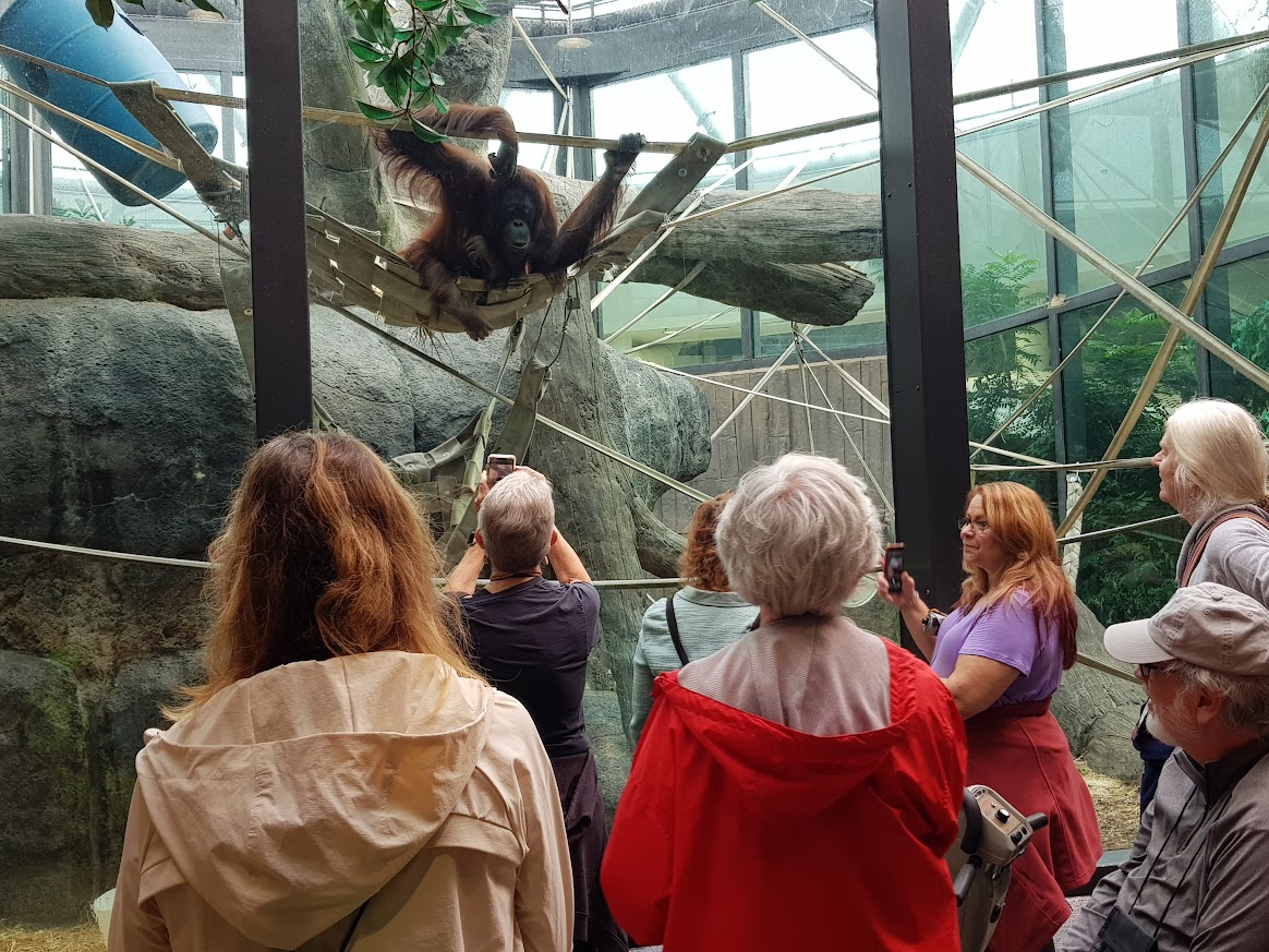 AZADV - Association of Zoo and Aquarium Docents and Volunteers