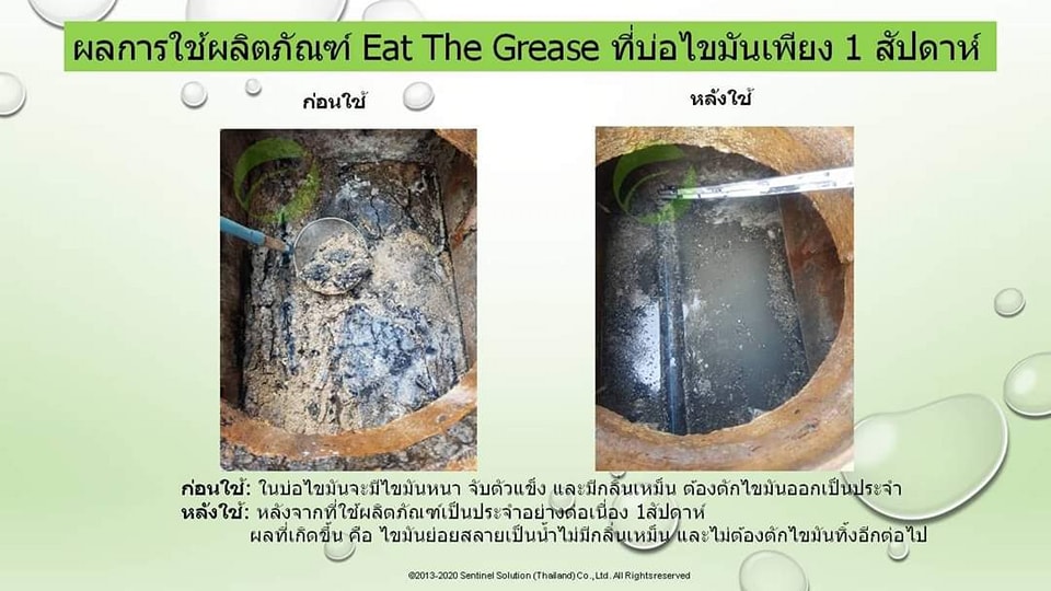 Sentinel - ตัวอย่าง‼️ ผลการใช้ผลิตภัณฑ์ 🌱Eat The Grease🌱 เพื่อย่อยสลาย ...