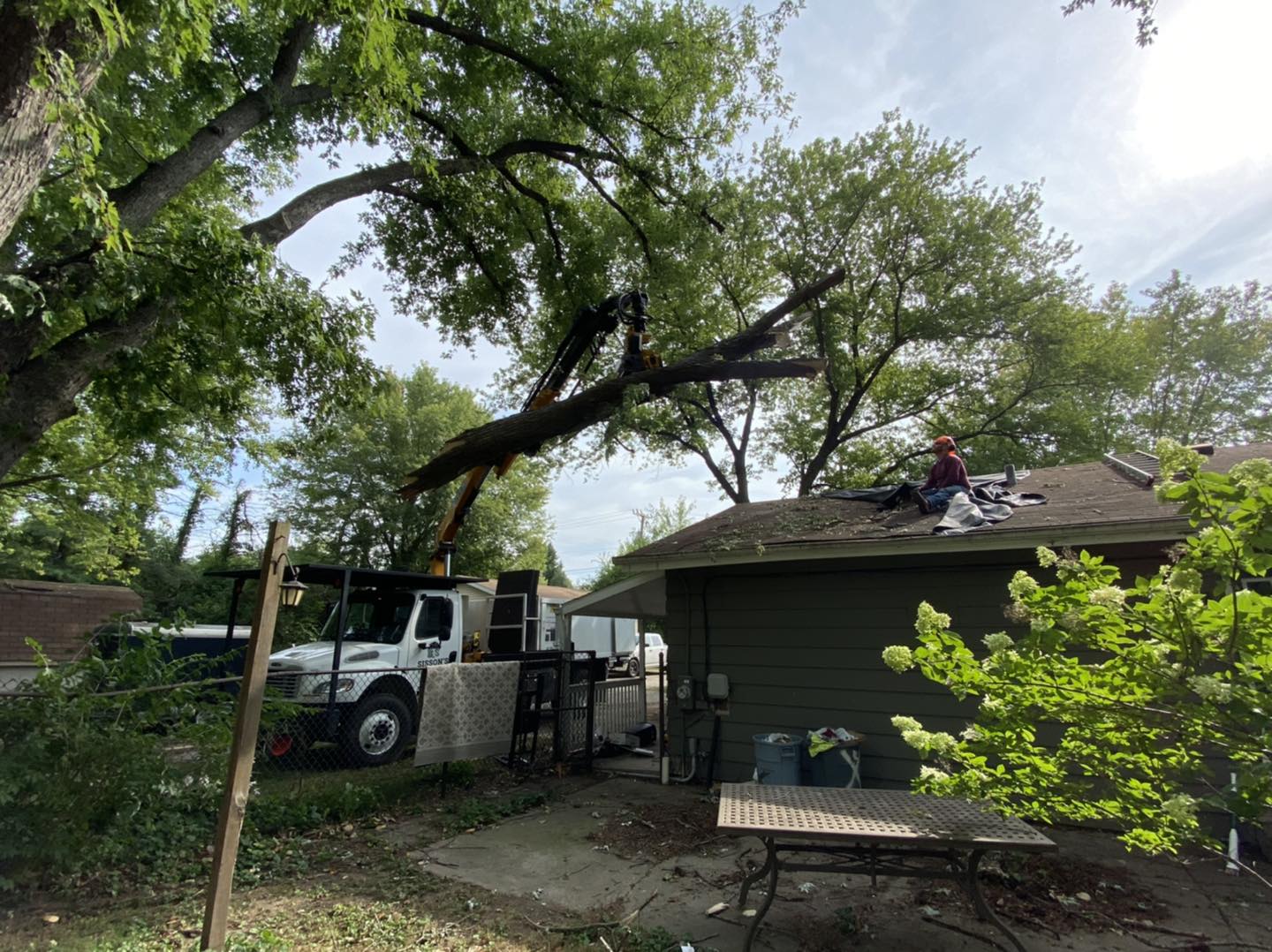⛈ Summer storm season has... - Sisson’s Tree Service, LLC