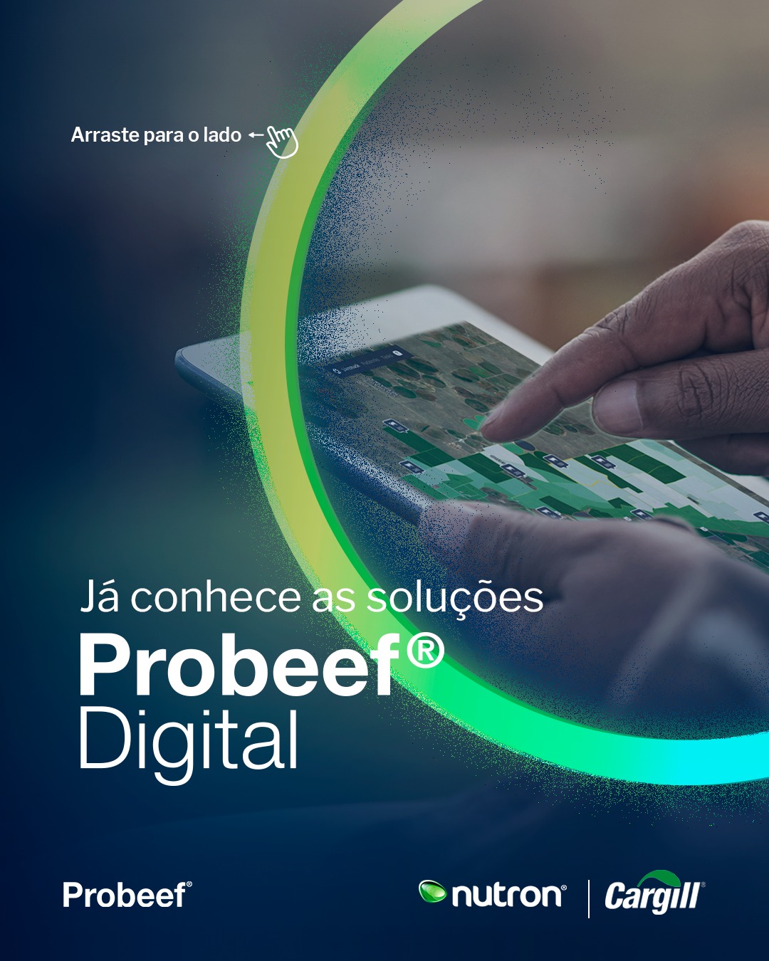 Probeef - Probeef® Digital. traz diferentes soluções para... | Facebook
